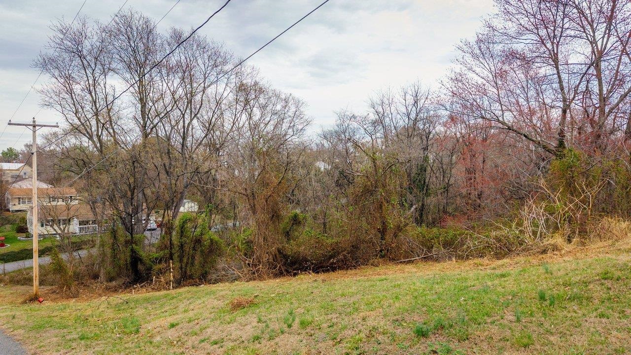 TBD N FOURTH ST, SHENANDOAH, Virginia 22849, ,Land,TBD N FOURTH ST,674448 MLS # 674448