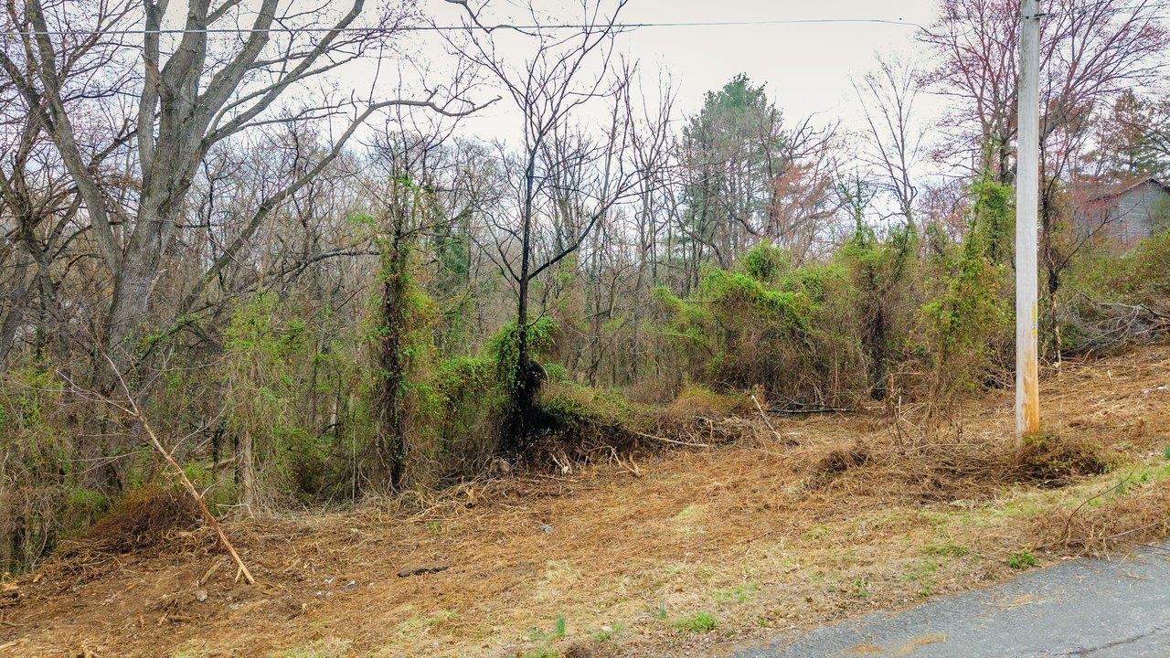 TBD N FOURTH ST, SHENANDOAH, Virginia 22849, ,Land,TBD N FOURTH ST,674449 MLS # 674449