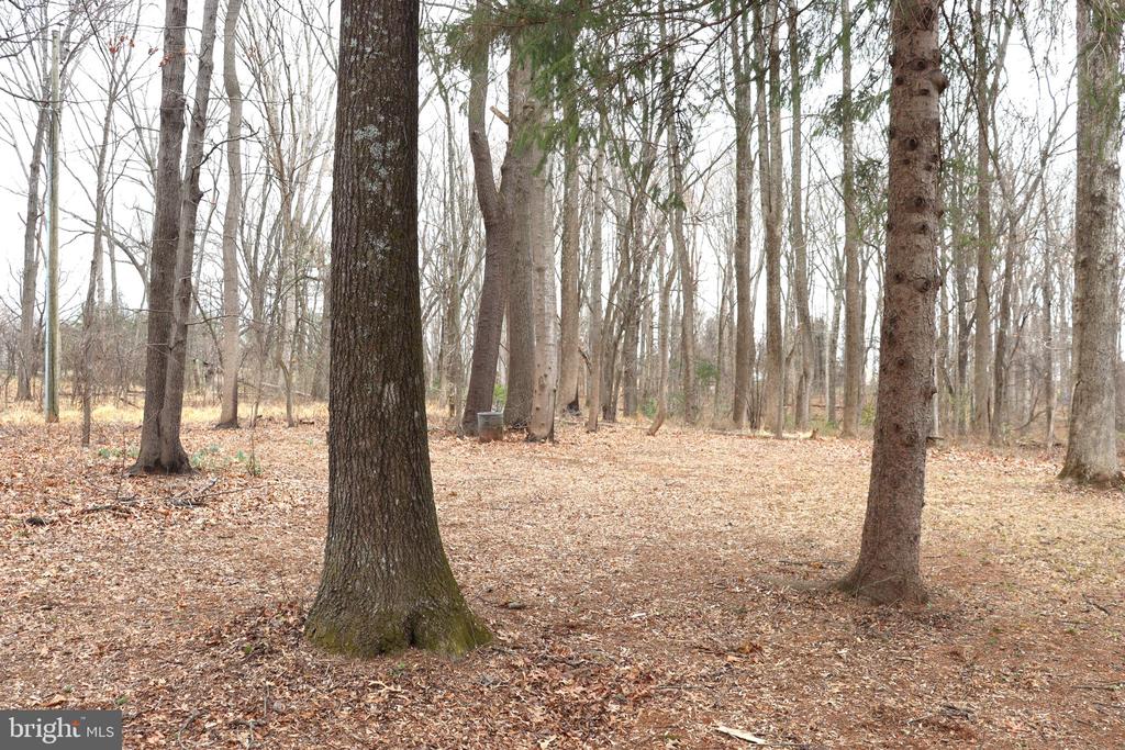 9305 LEES RIDGE RD, WARRENTON, Virginia 20186, 3 Bedrooms Bedrooms, ,2 BathroomsBathrooms,Residential,9305 LEES RIDGE RD,VAFQ2020942 MLS # VAFQ2020942