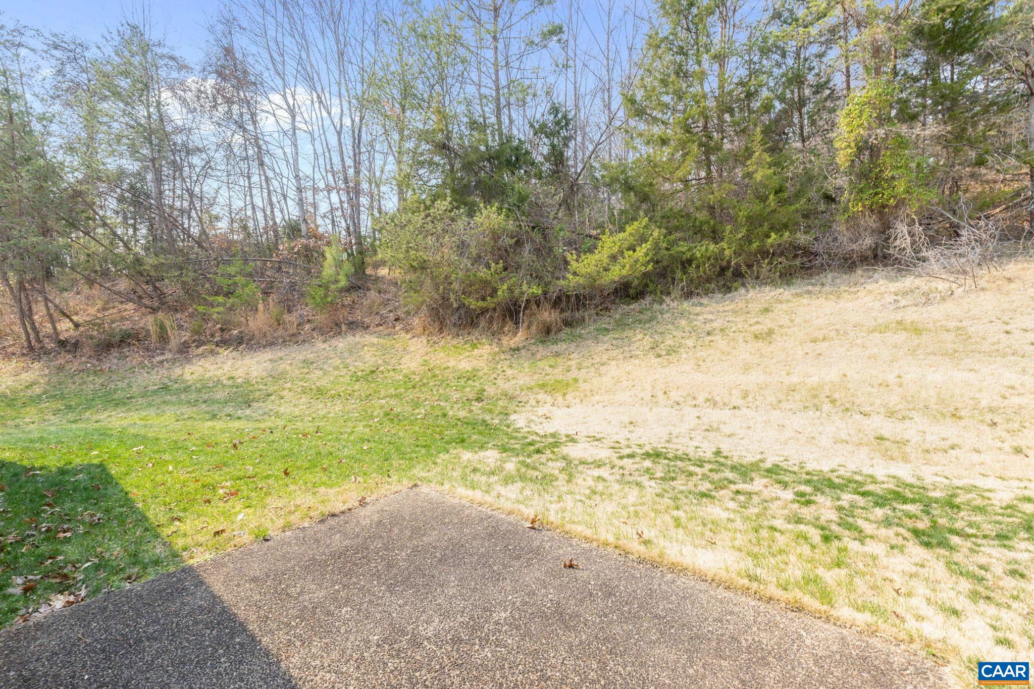 Rear yard from patio door.