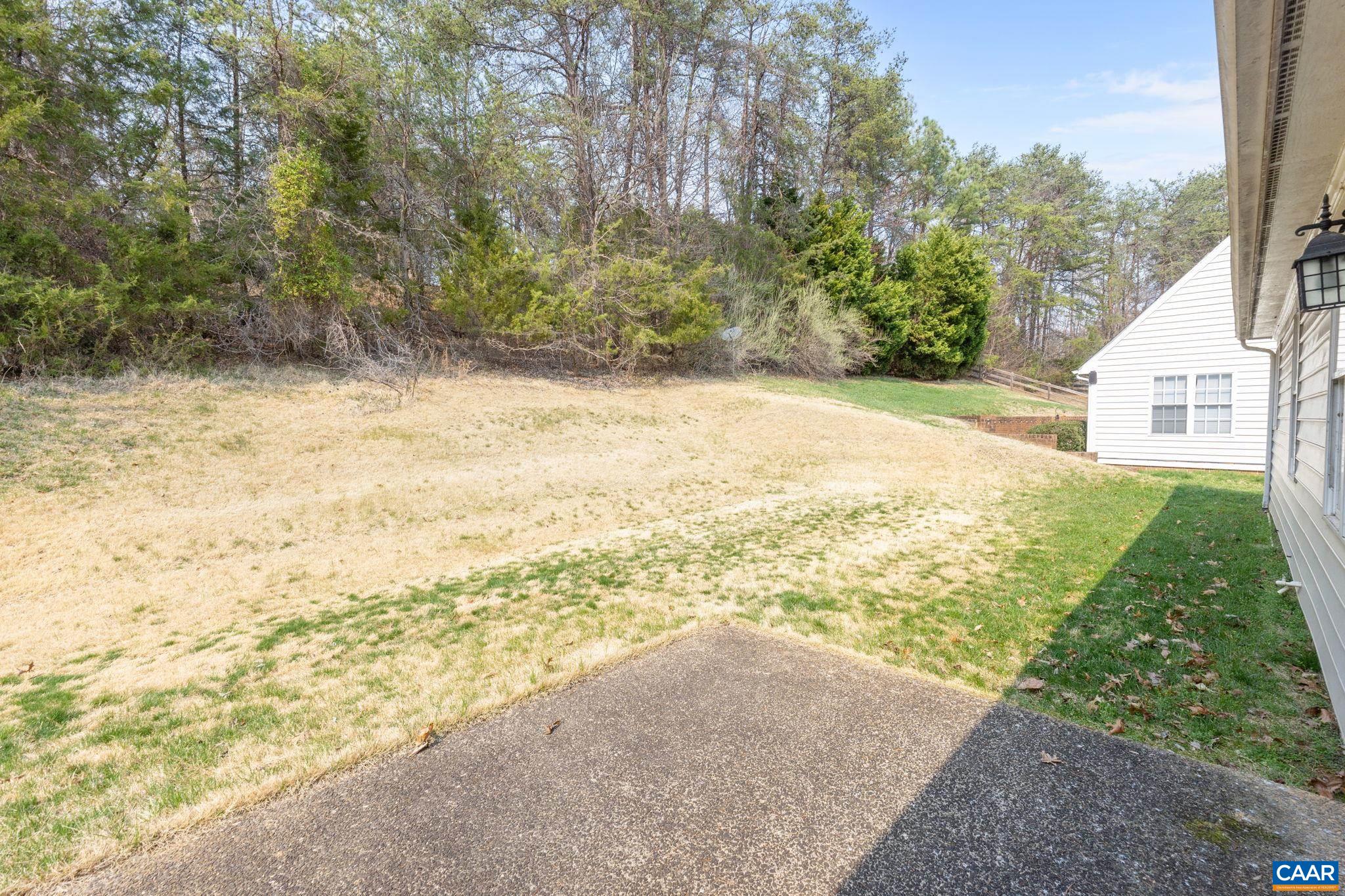 Rear yard from patio door.
