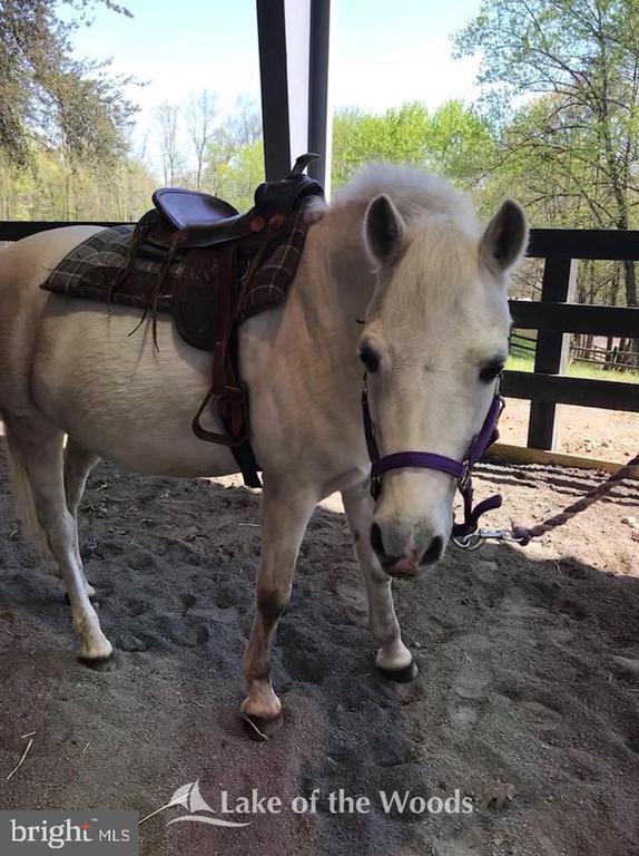 144 JEFFERSON AVE, LOCUST GROVE, Virginia 22508, ,Land,144 JEFFERSON AVE,VAOR2013542 MLS # VAOR2013542