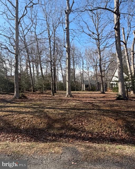 144 JEFFERSON AVE, LOCUST GROVE, Virginia 22508, ,Land,144 JEFFERSON AVE,VAOR2013542 MLS # VAOR2013542