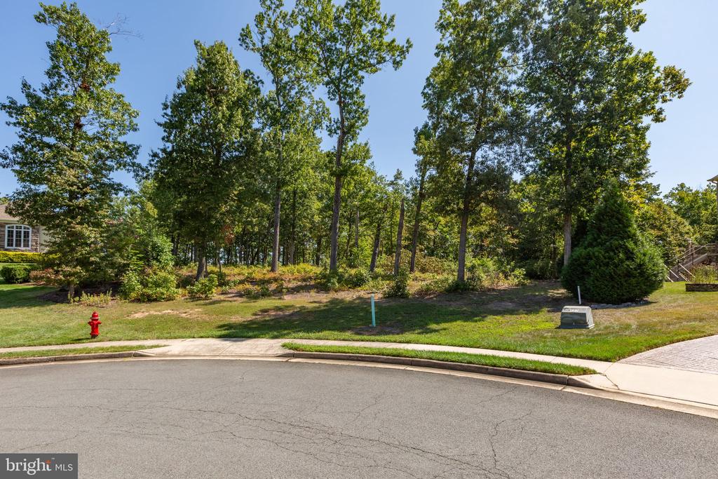 10821 PINNACLE DR, SPOTSYLVANIA, Virginia 22551, ,Land,10821 PINNACLE DR,VASP2040048 MLS # VASP2040048