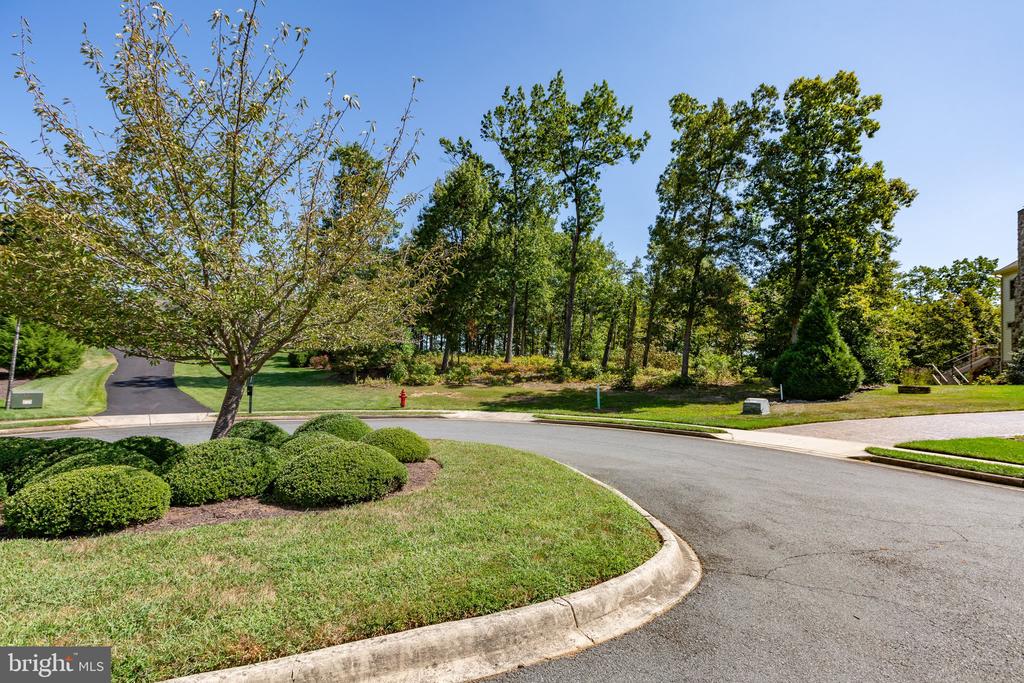 10821 PINNACLE DR, SPOTSYLVANIA, Virginia 22551, ,Land,10821 PINNACLE DR,VASP2040048 MLS # VASP2040048