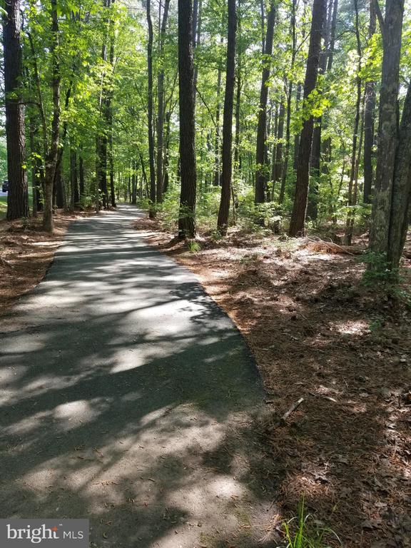 10821 PINNACLE DR, SPOTSYLVANIA, Virginia 22551, ,Land,10821 PINNACLE DR,VASP2040048 MLS # VASP2040048