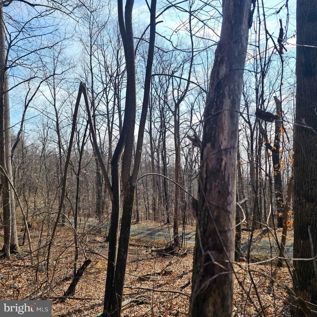 2245 RED BIRD DR, STANARDSVILLE, Virginia 22973, ,Land,2245 RED BIRD DR,VAGR2000822 MLS # VAGR2000822