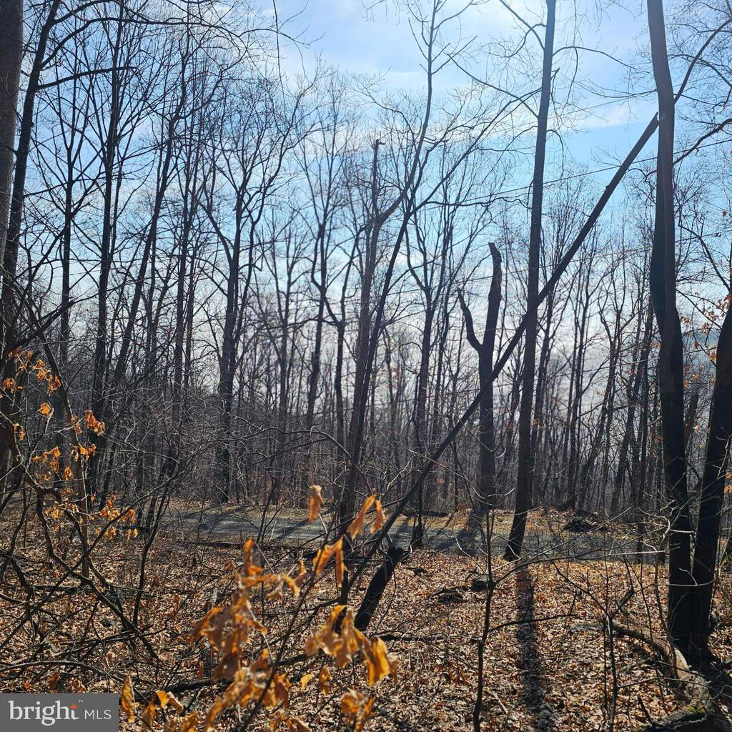 2245 RED BIRD DR, STANARDSVILLE, Virginia 22973, ,Land,2245 RED BIRD DR,VAGR2000822 MLS # VAGR2000822