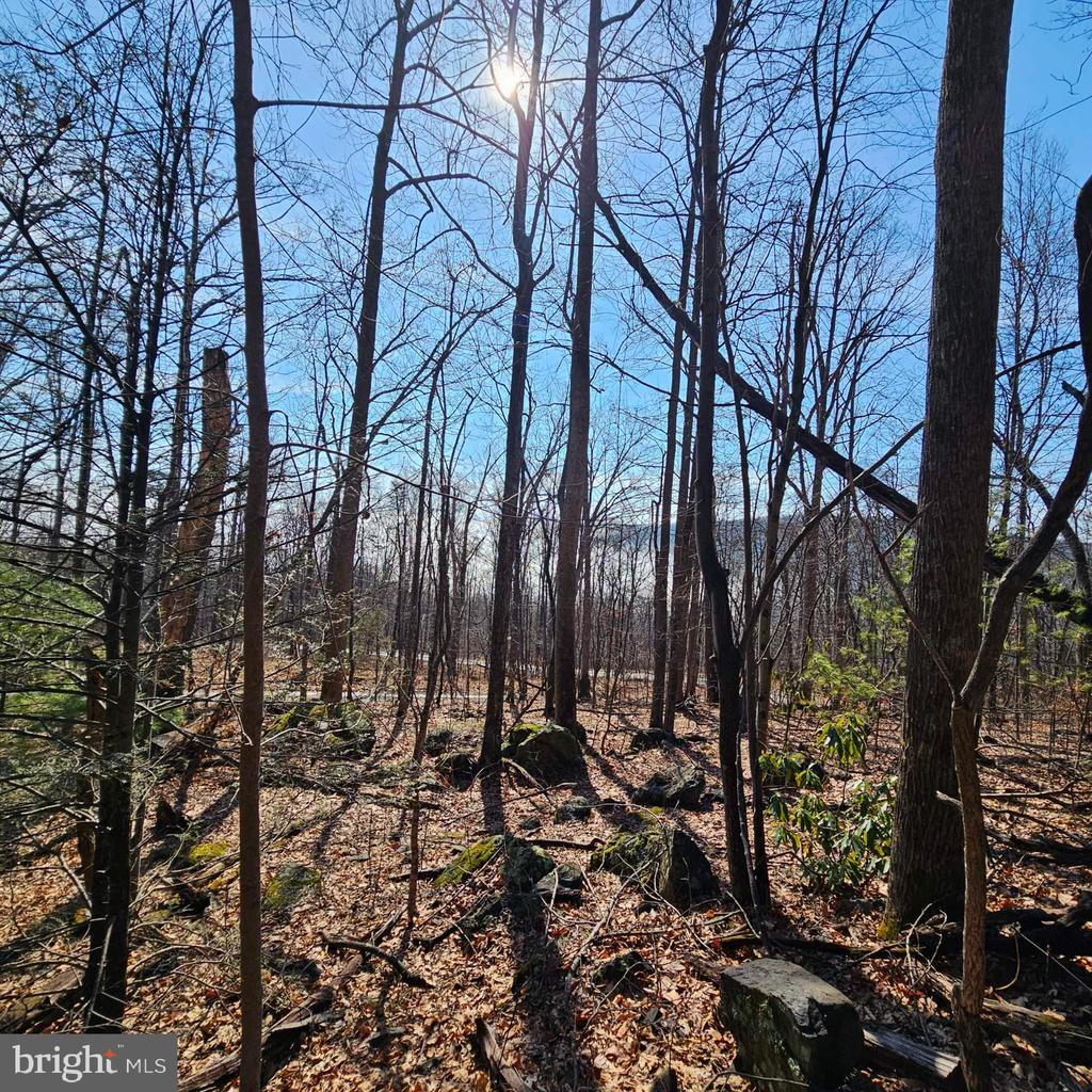 2245 RED BIRD DR, STANARDSVILLE, Virginia 22973, ,Land,2245 RED BIRD DR,VAGR2000822 MLS # VAGR2000822