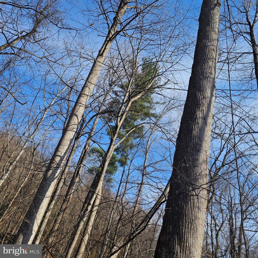 2245 RED BIRD DR, STANARDSVILLE, Virginia 22973, ,Land,2245 RED BIRD DR,VAGR2000822 MLS # VAGR2000822