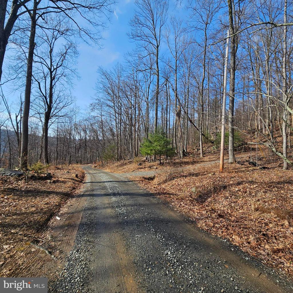 2245 RED BIRD DR, STANARDSVILLE, Virginia 22973, ,Land,2245 RED BIRD DR,VAGR2000822 MLS # VAGR2000822