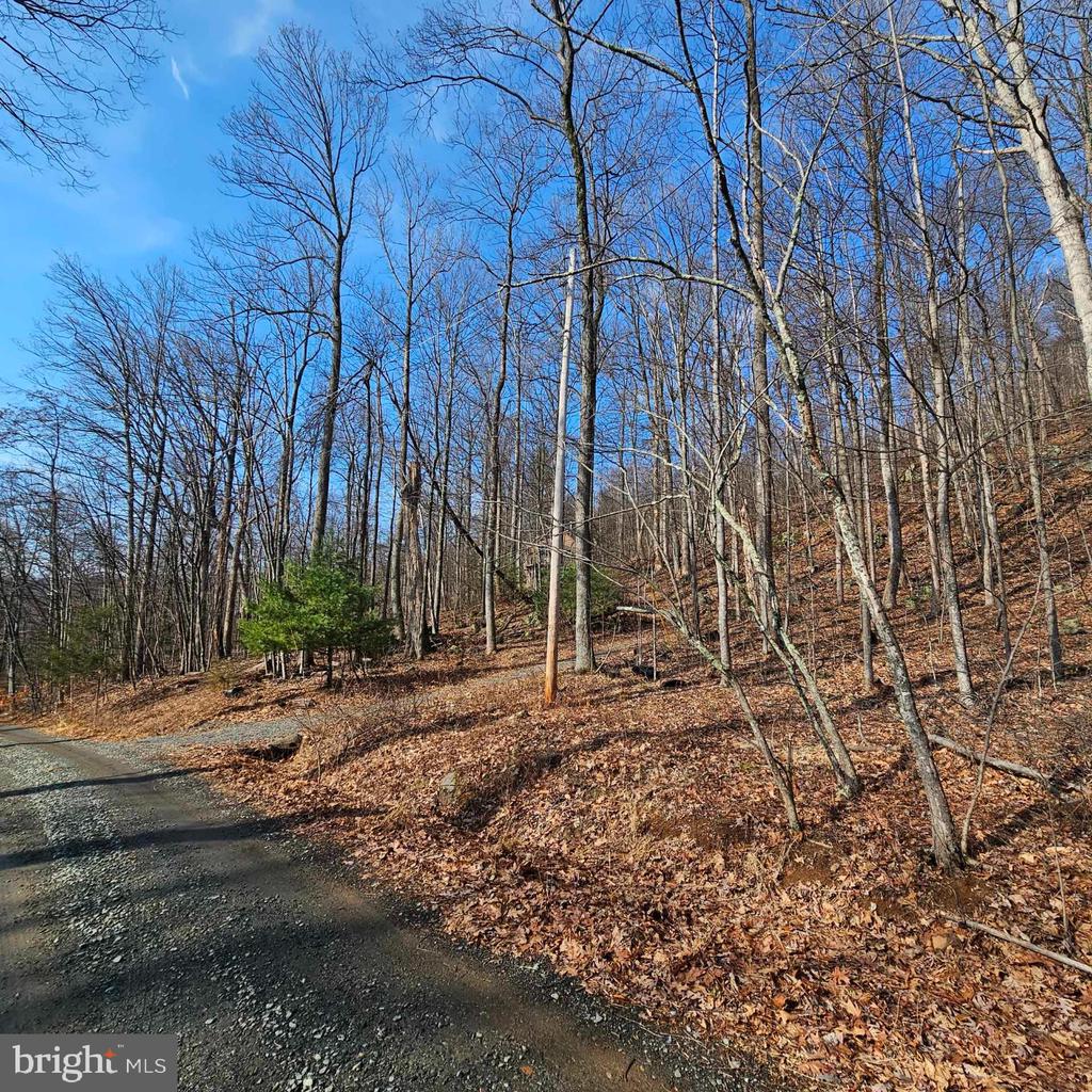 2245 RED BIRD DR, STANARDSVILLE, Virginia 22973, ,Land,2245 RED BIRD DR,VAGR2000822 MLS # VAGR2000822
