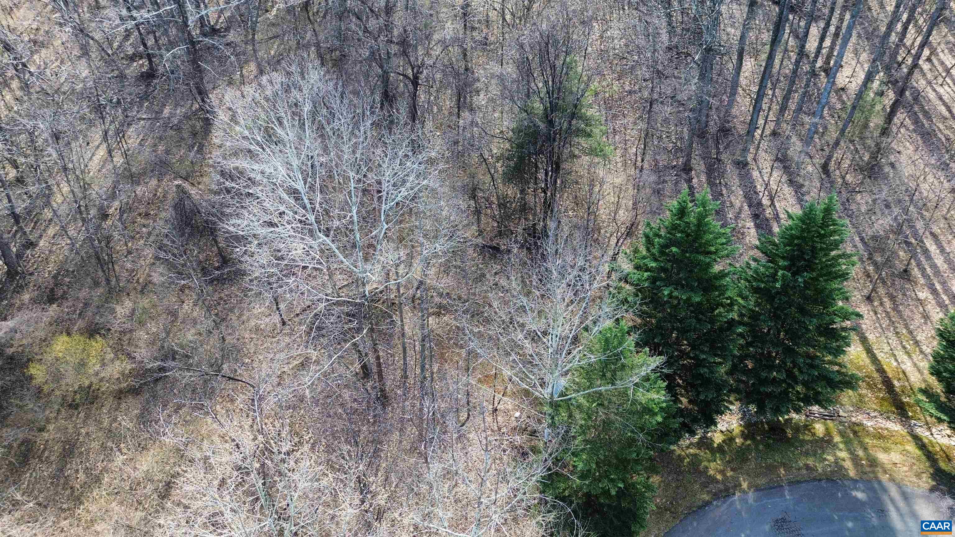 TBD OAKCREST LN, NELLYSFORD, Virginia 22958, ,Land,TBD OAKCREST LN,674461 MLS # 674461