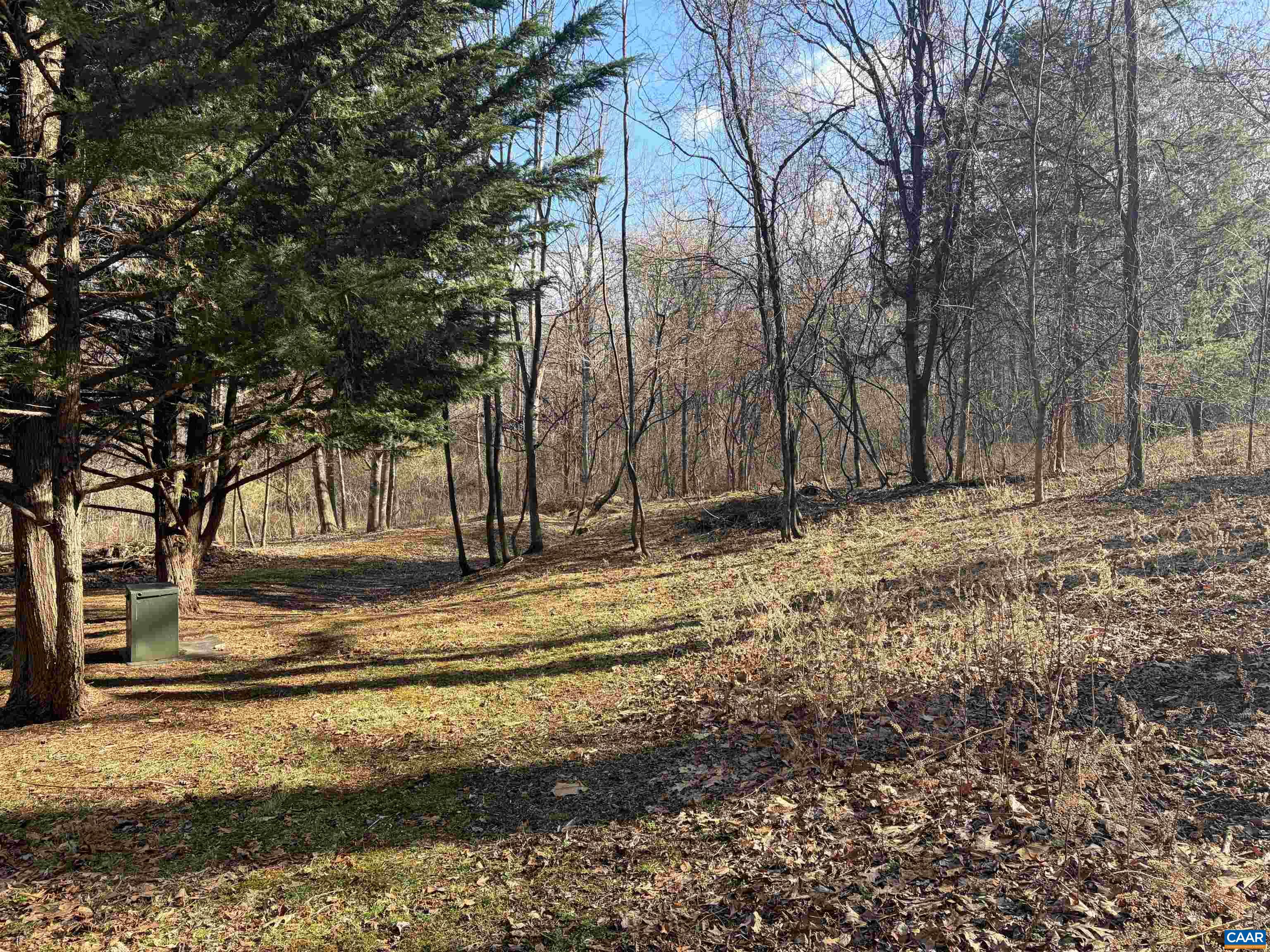TBD OAKCREST LN, NELLYSFORD, Virginia 22958, ,Land,TBD OAKCREST LN,674461 MLS # 674461