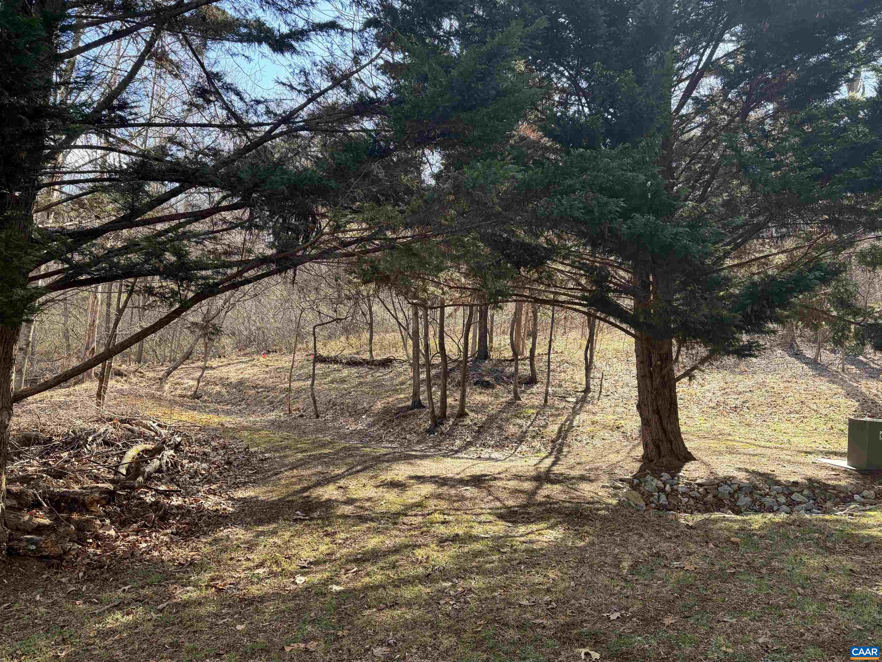 TBD OAKCREST LN, NELLYSFORD, Virginia 22958, ,Land,TBD OAKCREST LN,674461 MLS # 674461