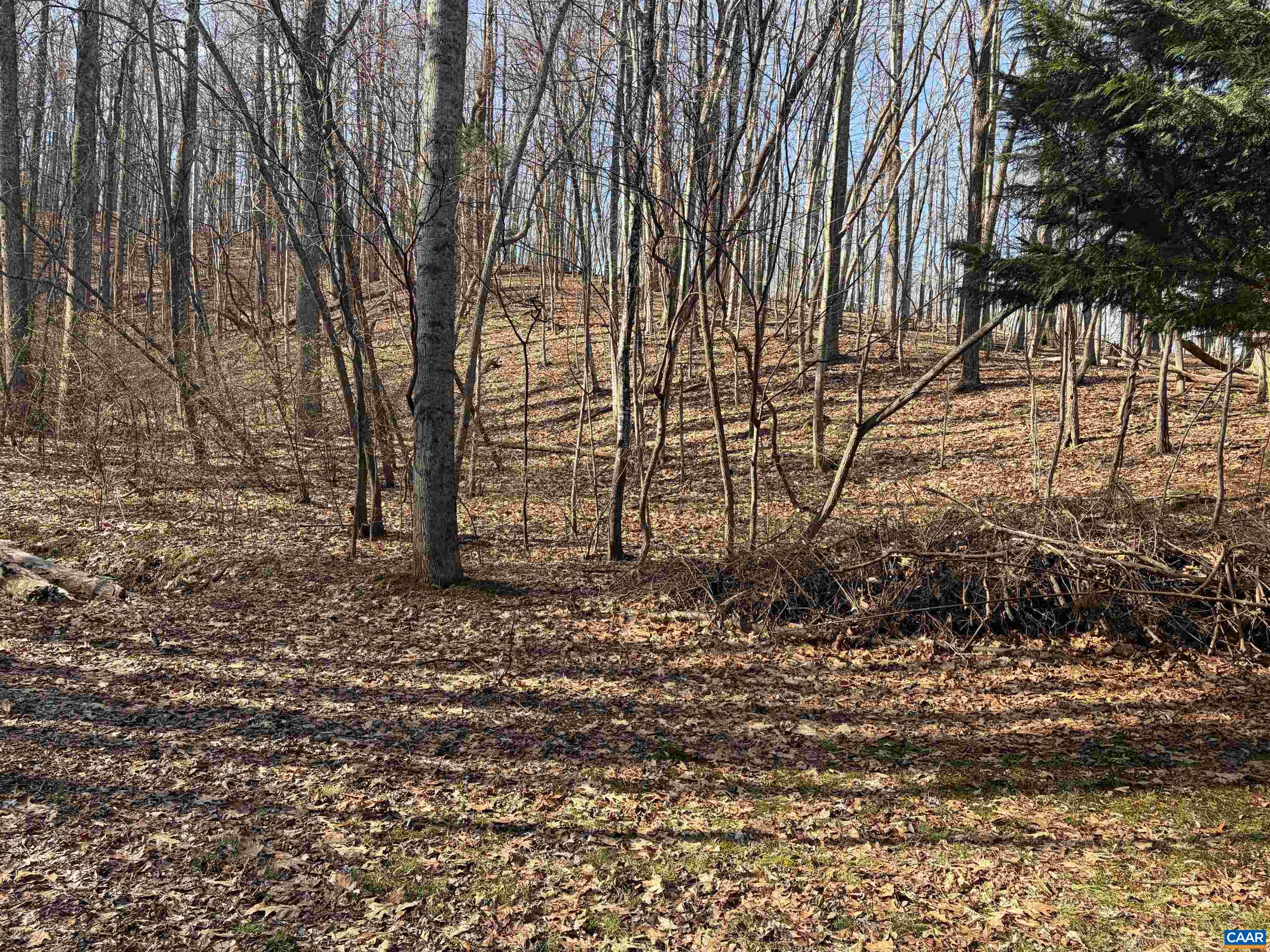 TBD OAKCREST LN, NELLYSFORD, Virginia 22958, ,Land,TBD OAKCREST LN,674461 MLS # 674461