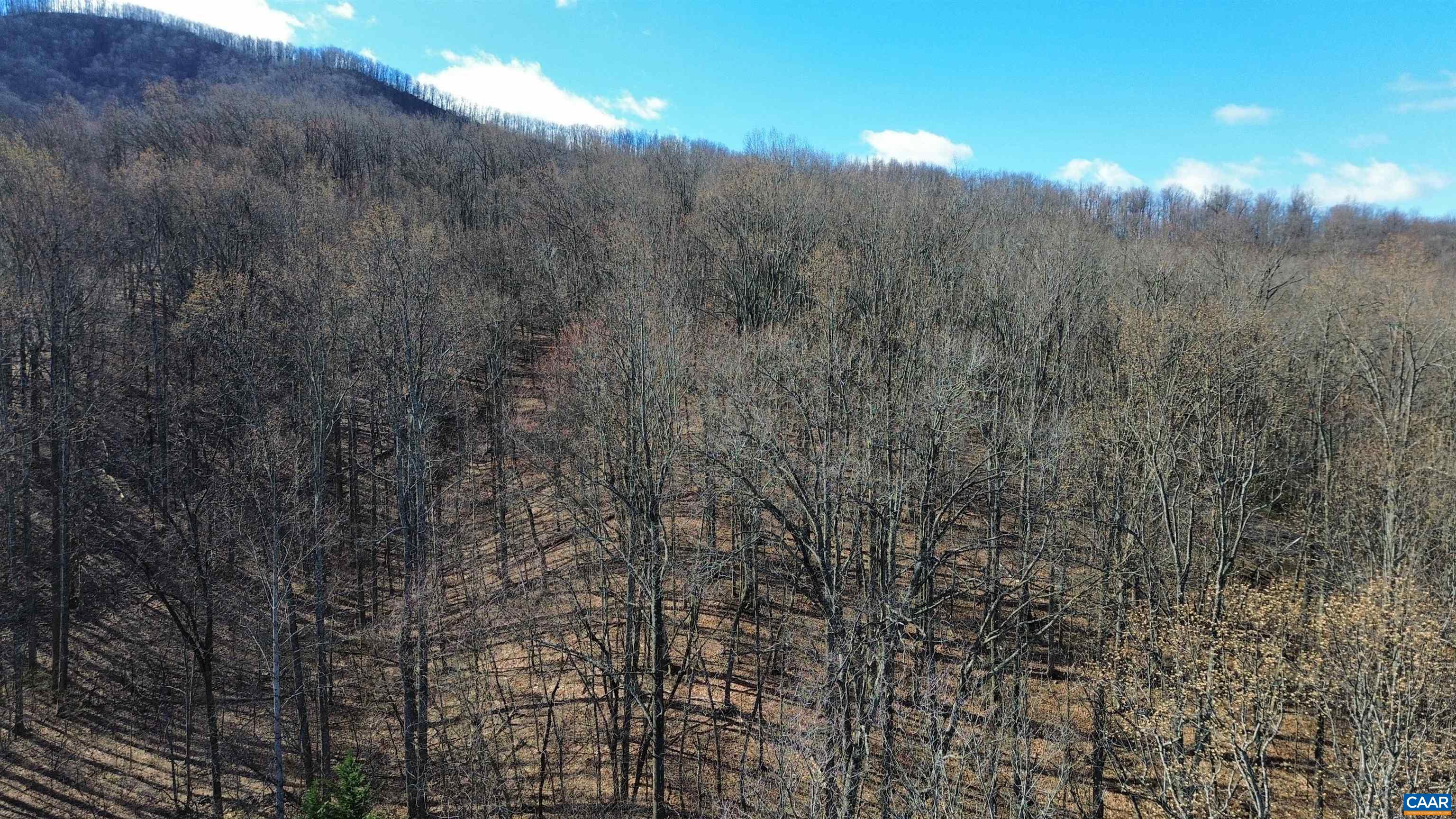 TBD OAKCREST LN, NELLYSFORD, Virginia 22958, ,Land,TBD OAKCREST LN,674461 MLS # 674461