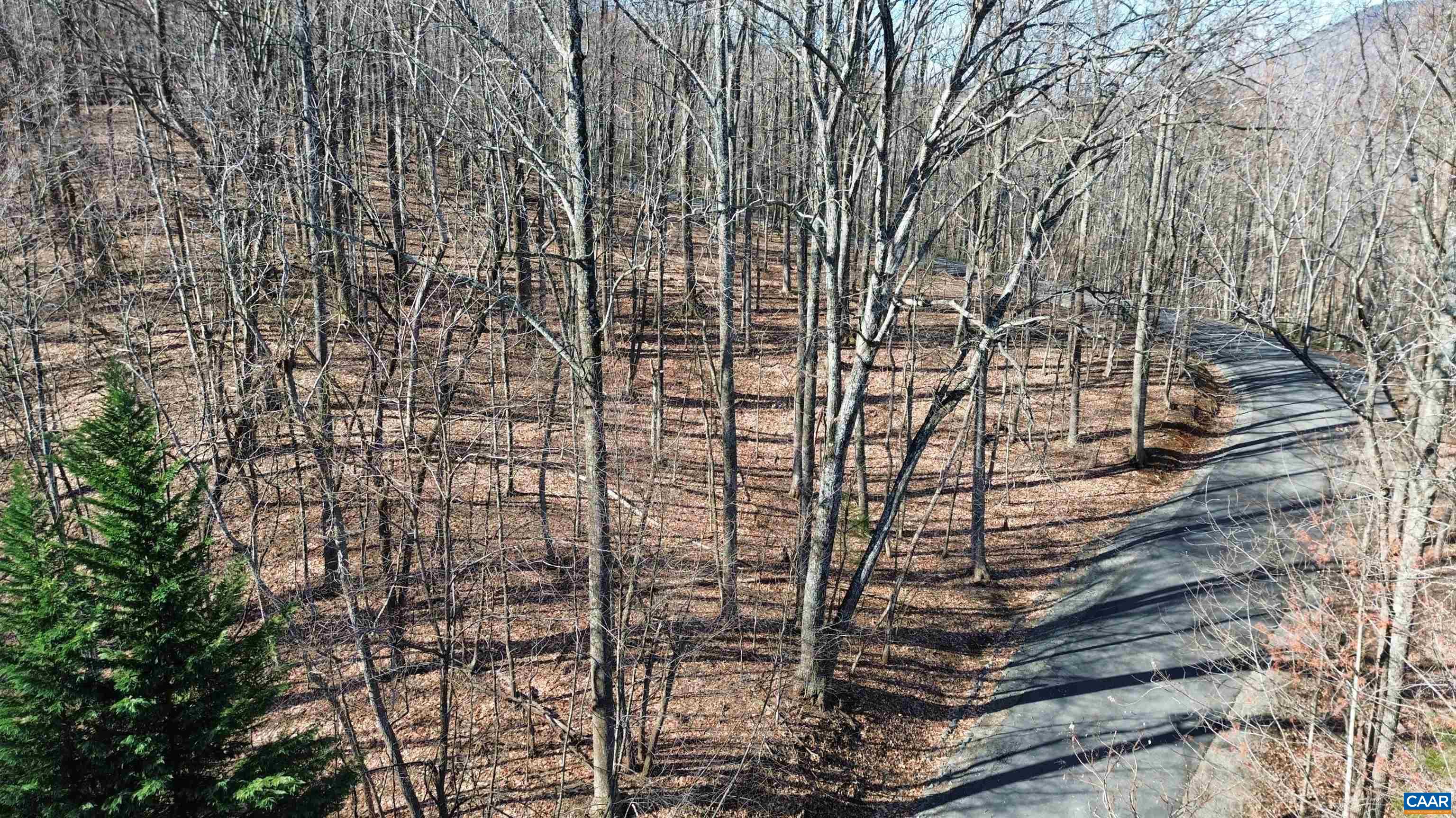 TBD OAKCREST LN, NELLYSFORD, Virginia 22958, ,Land,TBD OAKCREST LN,674461 MLS # 674461