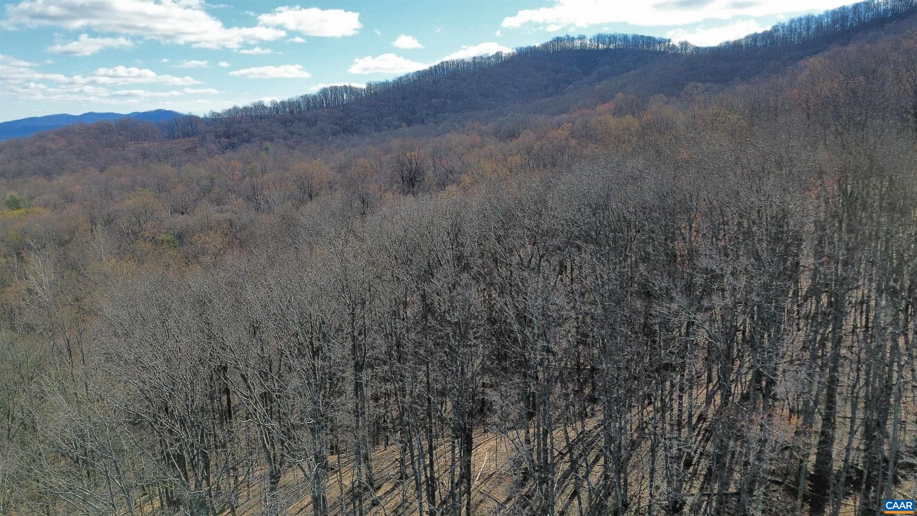 TBD OAKCREST LN, NELLYSFORD, Virginia 22958, ,Land,TBD OAKCREST LN,674461 MLS # 674461