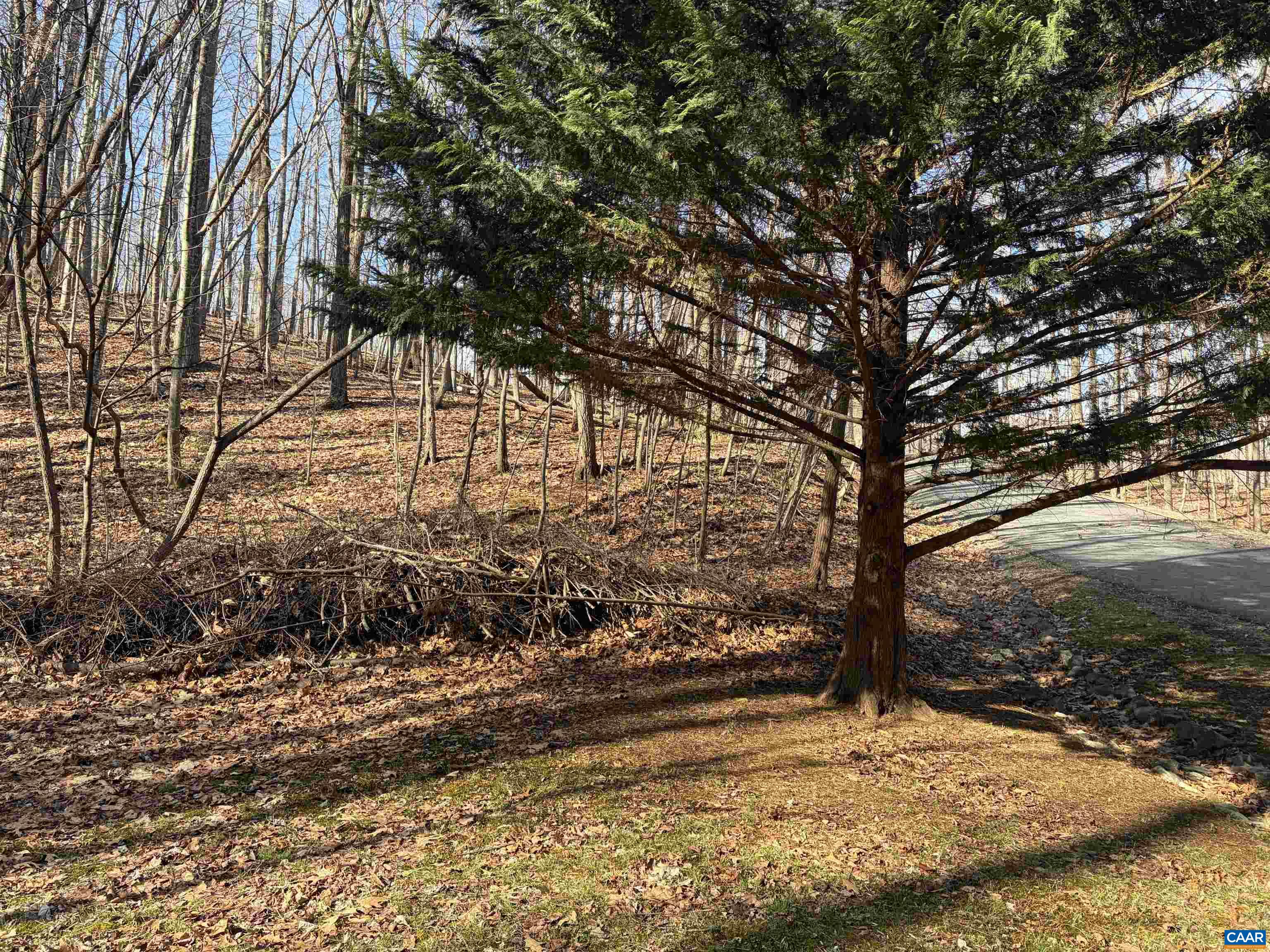 TBD OAKCREST LN, NELLYSFORD, Virginia 22958, ,Land,TBD OAKCREST LN,674461 MLS # 674461