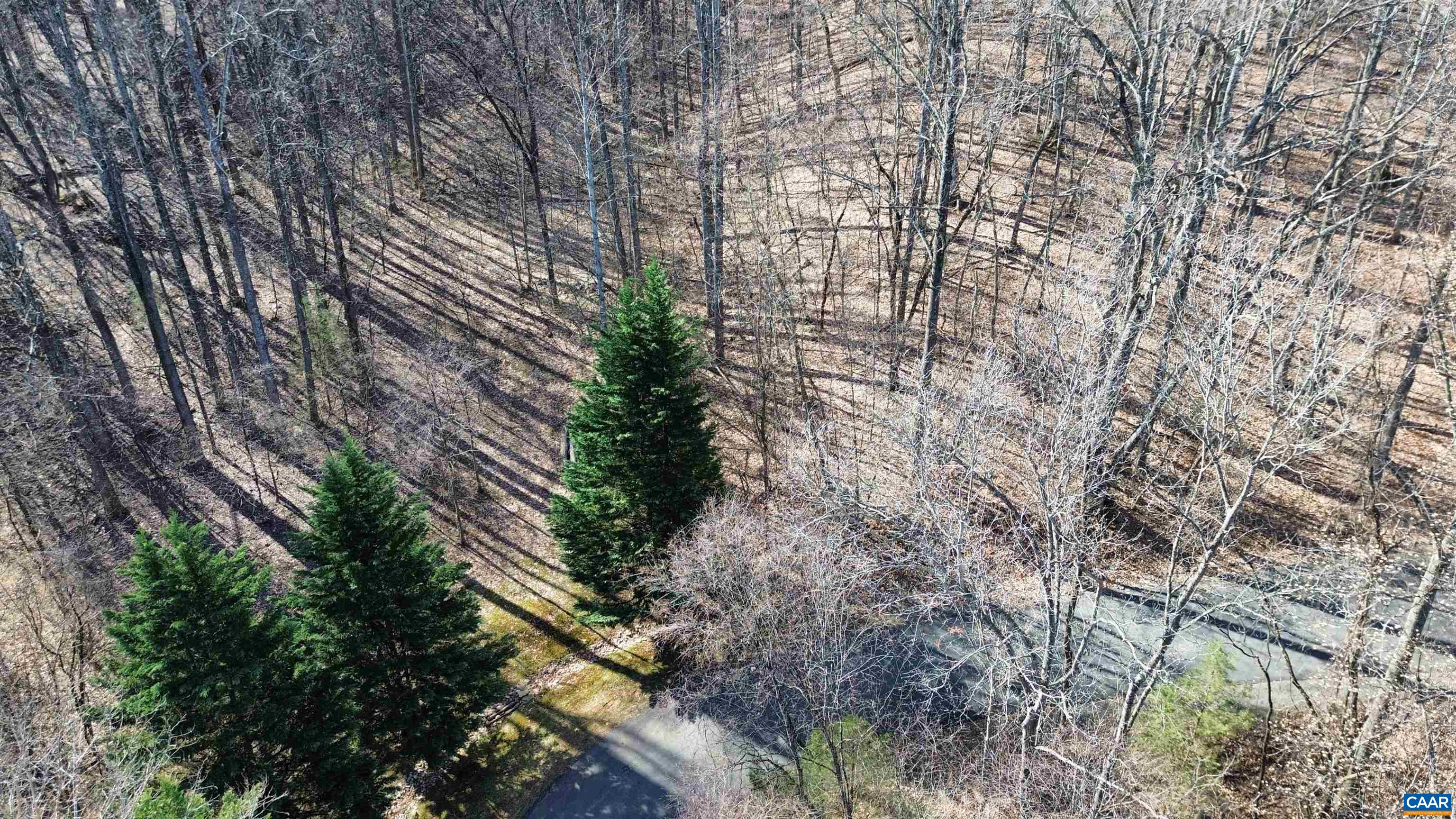 TBD OAKCREST LN, NELLYSFORD, Virginia 22958, ,Land,TBD OAKCREST LN,674461 MLS # 674461