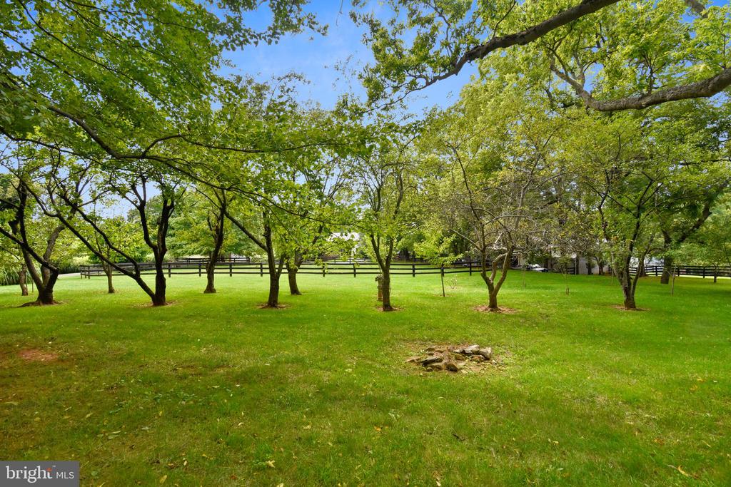 2532 ATOKA RD, MARSHALL, Virginia, 4 Bedrooms Bedrooms, ,4 BathroomsBathrooms,Residential,2532 ATOKA RD,VAFQ2020770 MLS # VAFQ2020770