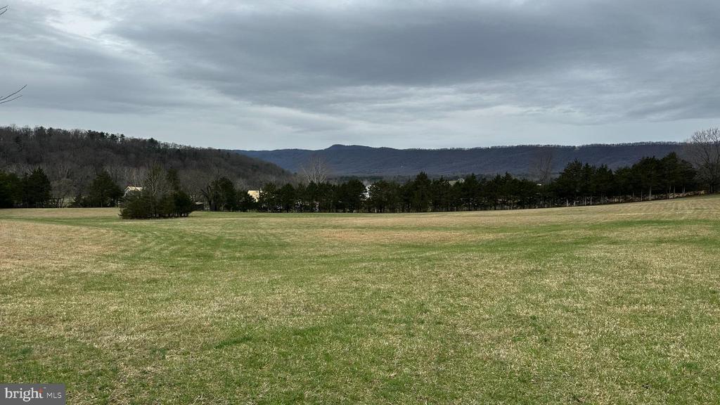2301 S PAGE VALLEY RD, LURAY, Virginia 22835, 3 Bedrooms Bedrooms, ,2 BathroomsBathrooms,Residential,2301 S PAGE VALLEY RD,VAPA2006194 MLS # VAPA2006194