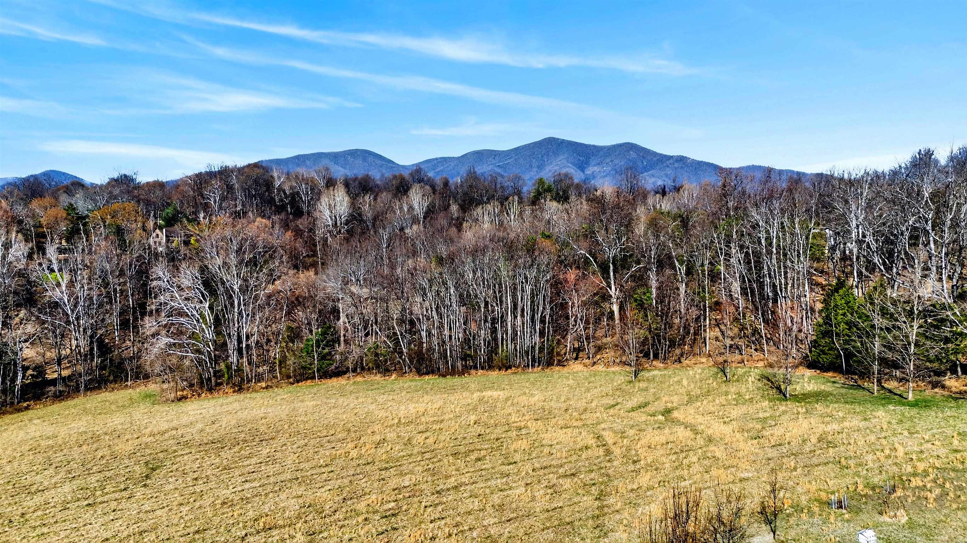 85 MEADOW CT, ROSELAND, Virginia 22967, 5 Bedrooms Bedrooms, ,3 BathroomsBathrooms,Residential,85 MEADOW CT,674485 MLS # 674485