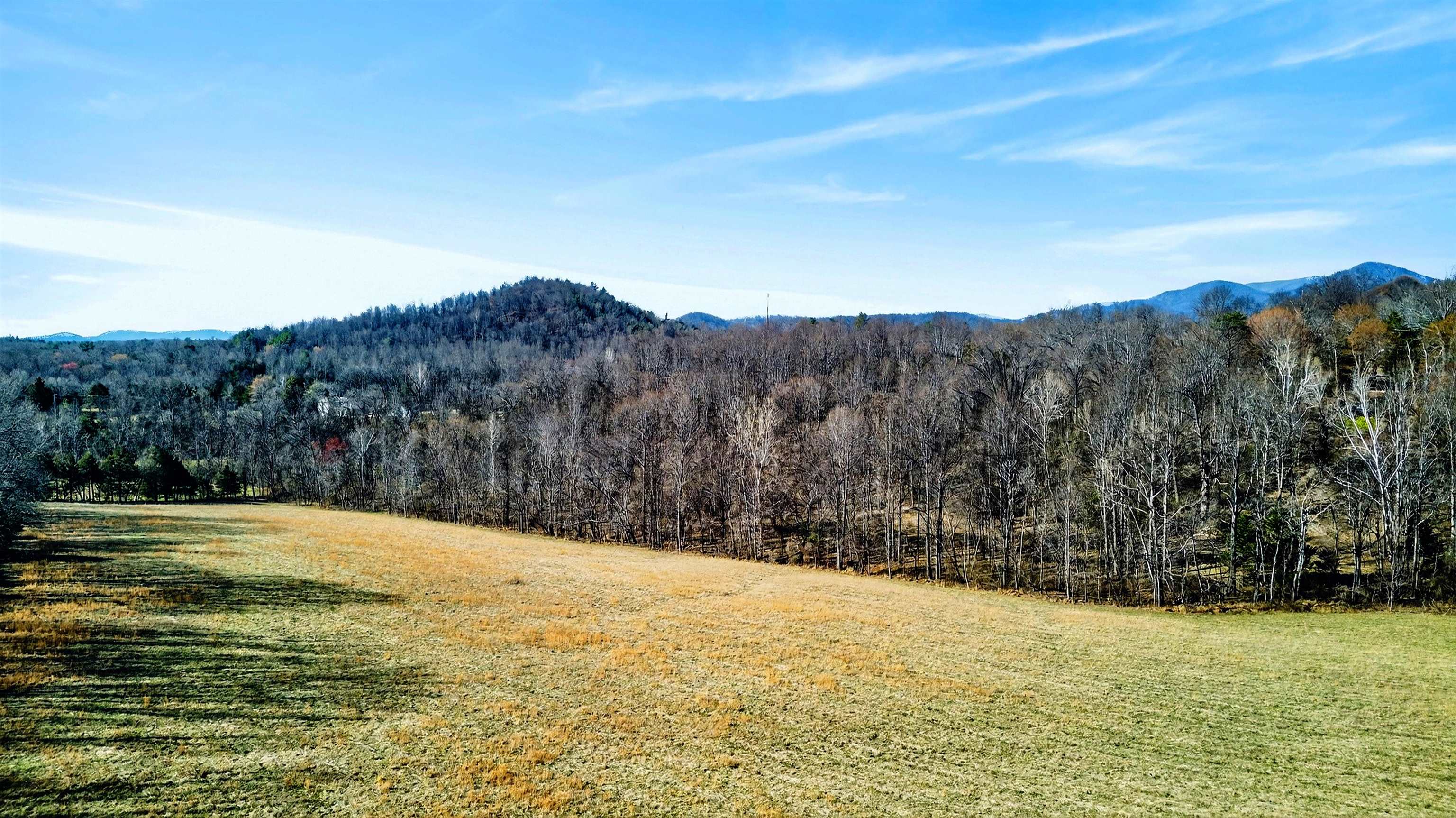 85 MEADOW CT, ROSELAND, Virginia 22967, 5 Bedrooms Bedrooms, ,3 BathroomsBathrooms,Residential,85 MEADOW CT,674485 MLS # 674485