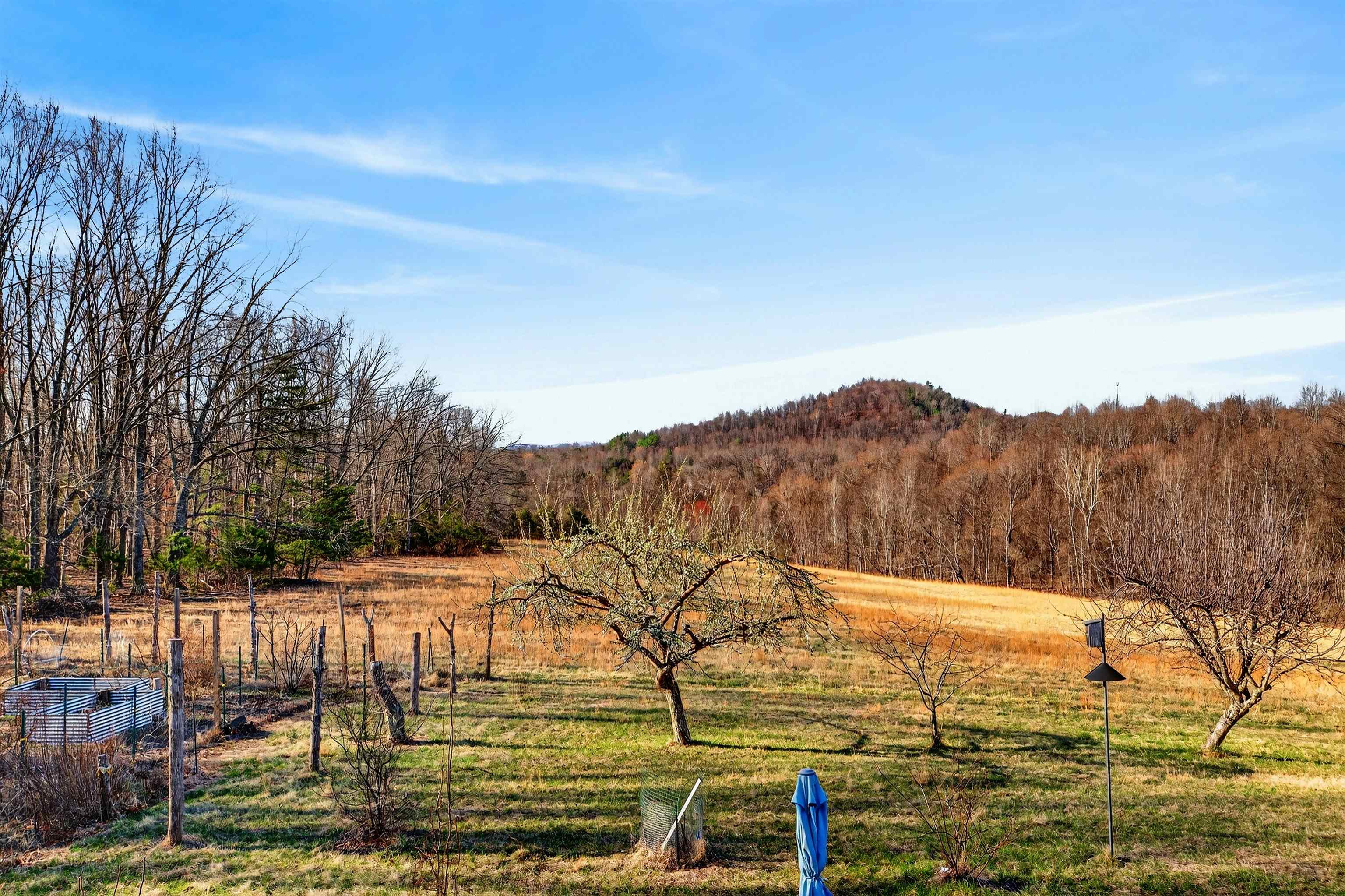 85 MEADOW CT, ROSELAND, Virginia 22967, 5 Bedrooms Bedrooms, ,3 BathroomsBathrooms,Residential,85 MEADOW CT,674485 MLS # 674485