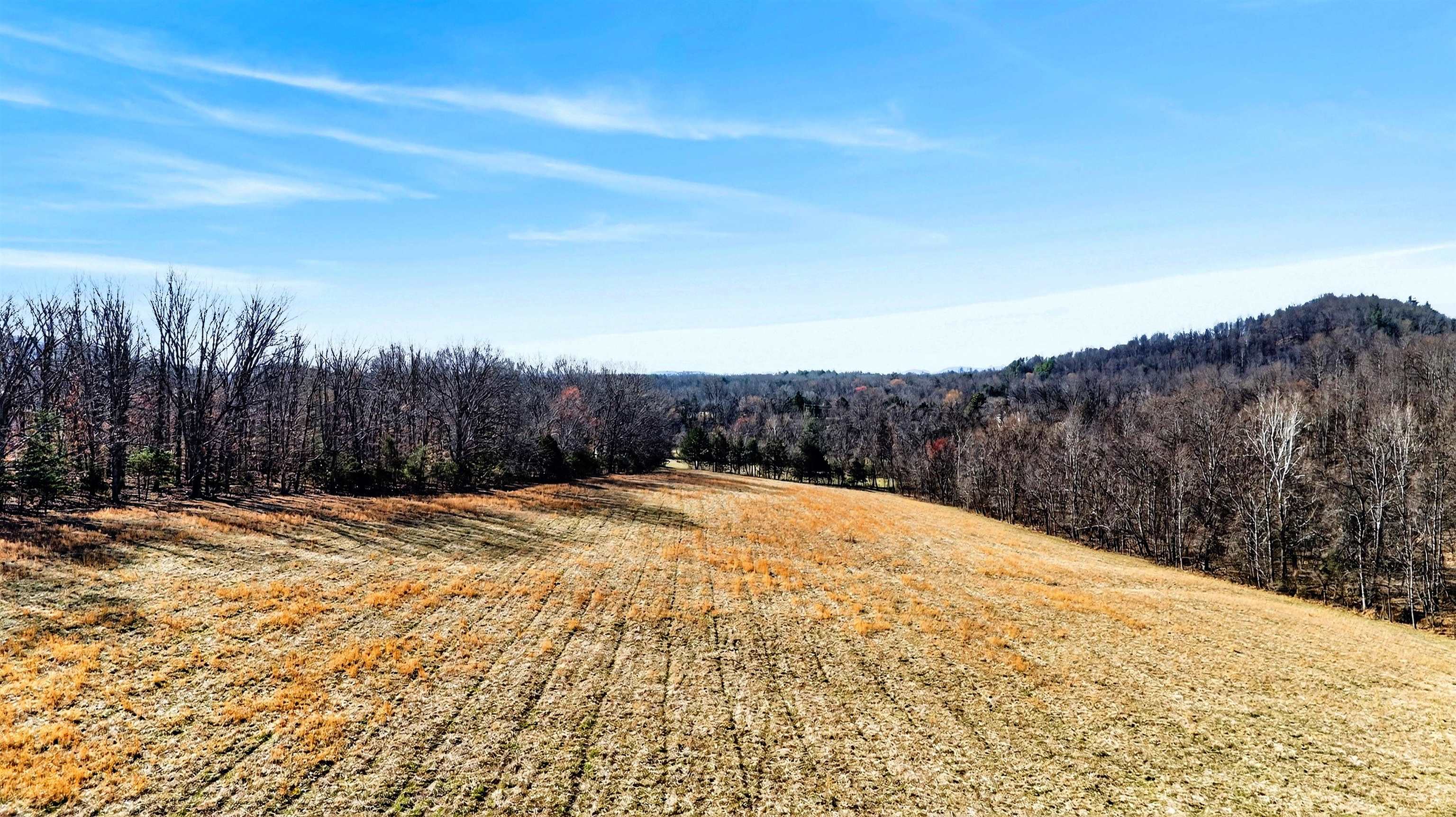 85 MEADOW CT, ROSELAND, Virginia 22967, 5 Bedrooms Bedrooms, ,3 BathroomsBathrooms,Residential,85 MEADOW CT,674485 MLS # 674485