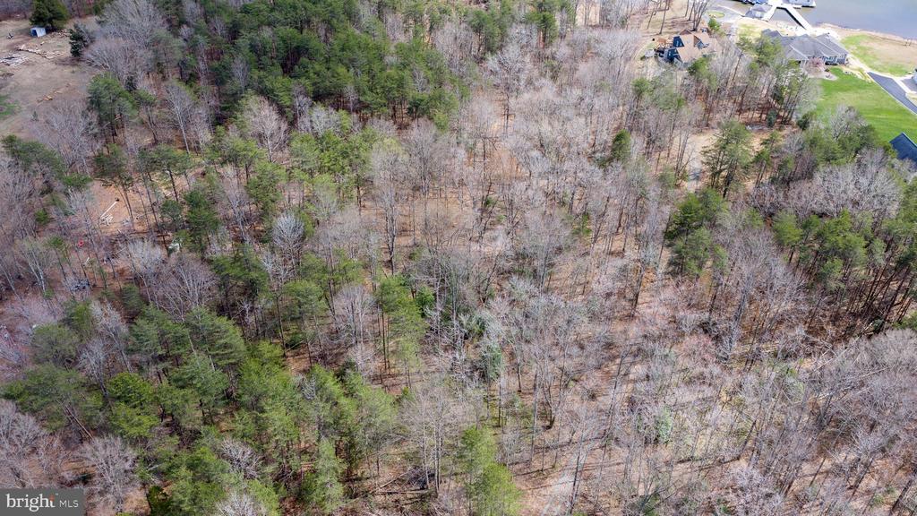 NEW BRIDGE RD/208, MINERAL, Virginia 23117, ,Land,NEW BRIDGE RD/208,VALA2009448 MLS # VALA2009448