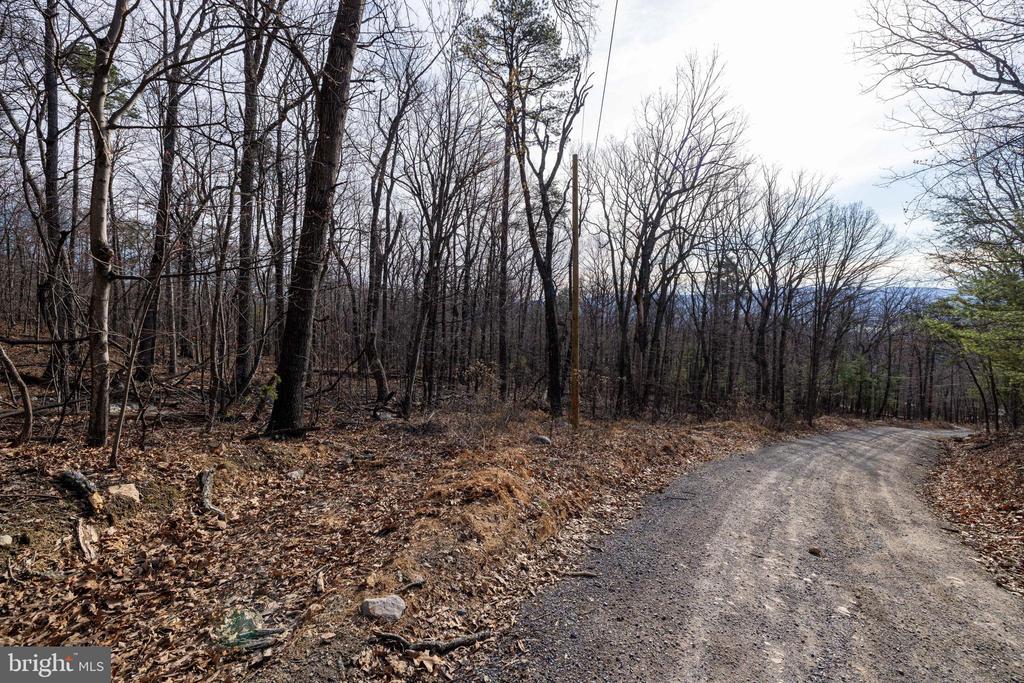 NATIONAL FOREST ACCESS RD, LURAY, Virginia 22835, ,Land,NATIONAL FOREST ACCESS RD,VAPA2006088 MLS # VAPA2006088 NATIONAL FOREST ACCESS RD, LURAY, Virginia 22835, ,Land,NATIONAL FOREST ACCESS RD,VAPA2006088 MLS # VAPA2006088