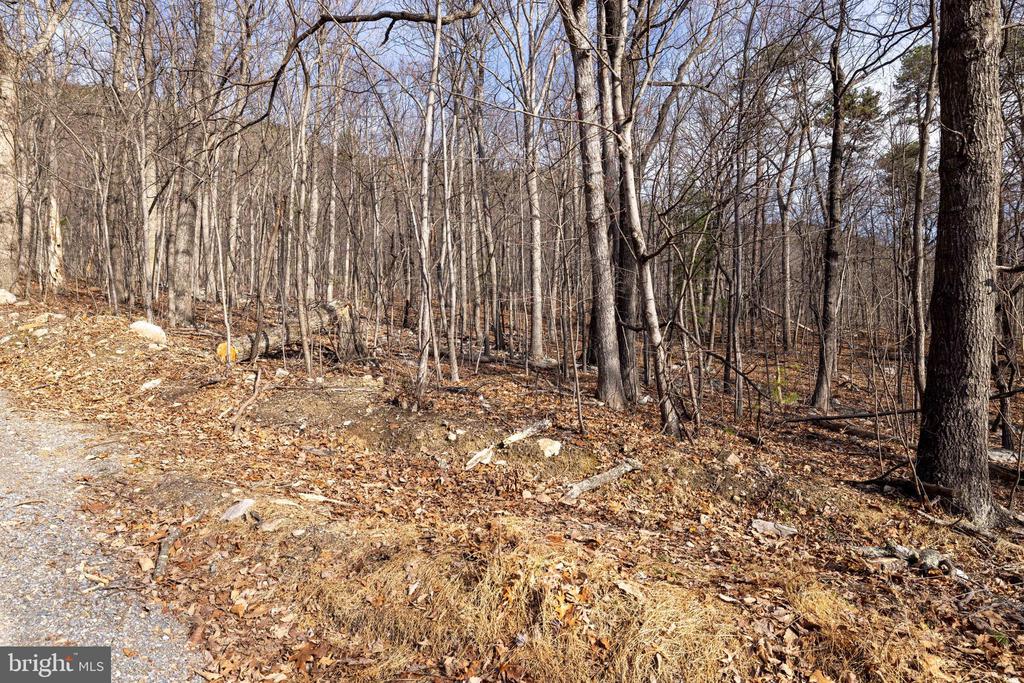 NATIONAL FOREST ACCESS RD, LURAY, Virginia 22835, ,Land,NATIONAL FOREST ACCESS RD,VAPA2006088 MLS # VAPA2006088 NATIONAL FOREST ACCESS RD, LURAY, Virginia 22835, ,Land,NATIONAL FOREST ACCESS RD,VAPA2006088 MLS # VAPA2006088