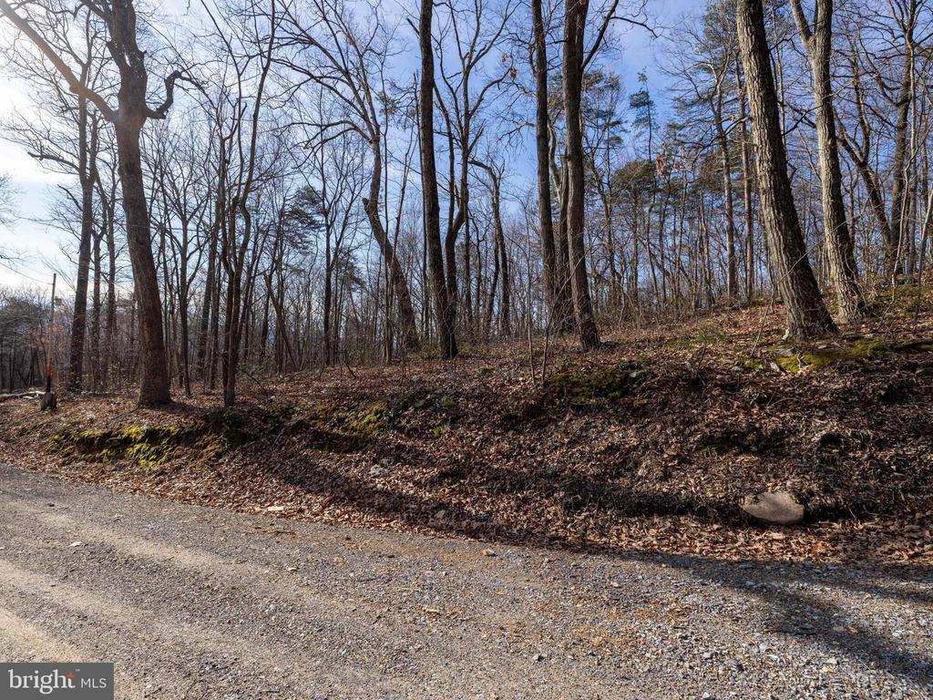NATIONAL FOREST ACCESS RD, LURAY, Virginia 22835, ,Land,NATIONAL FOREST ACCESS RD,VAPA2006088 MLS # VAPA2006088 NATIONAL FOREST ACCESS RD, LURAY, Virginia 22835, ,Land,NATIONAL FOREST ACCESS RD,VAPA2006088 MLS # VAPA2006088