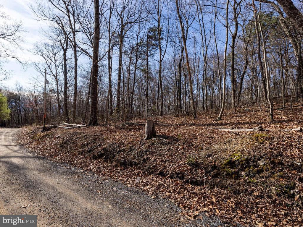 NATIONAL FOREST ACCESS RD, LURAY, Virginia 22835, ,Land,NATIONAL FOREST ACCESS RD,VAPA2006088 MLS # VAPA2006088 NATIONAL FOREST ACCESS RD, LURAY, Virginia 22835, ,Land,NATIONAL FOREST ACCESS RD,VAPA2006088 MLS # VAPA2006088