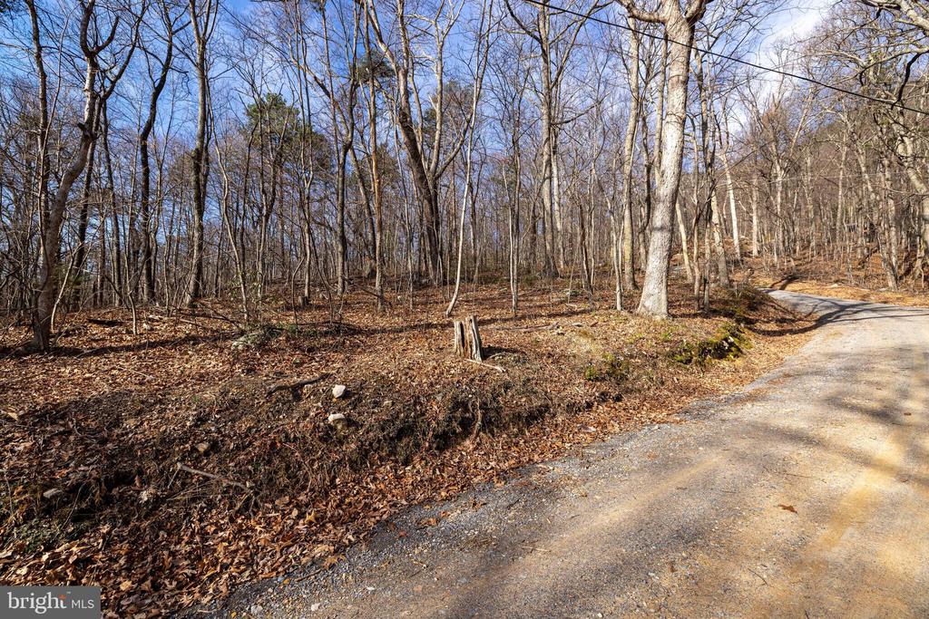 NATIONAL FOREST ACCESS RD, LURAY, Virginia 22835, ,Land,NATIONAL FOREST ACCESS RD,VAPA2006088 MLS # VAPA2006088 NATIONAL FOREST ACCESS RD, LURAY, Virginia 22835, ,Land,NATIONAL FOREST ACCESS RD,VAPA2006088 MLS # VAPA2006088
