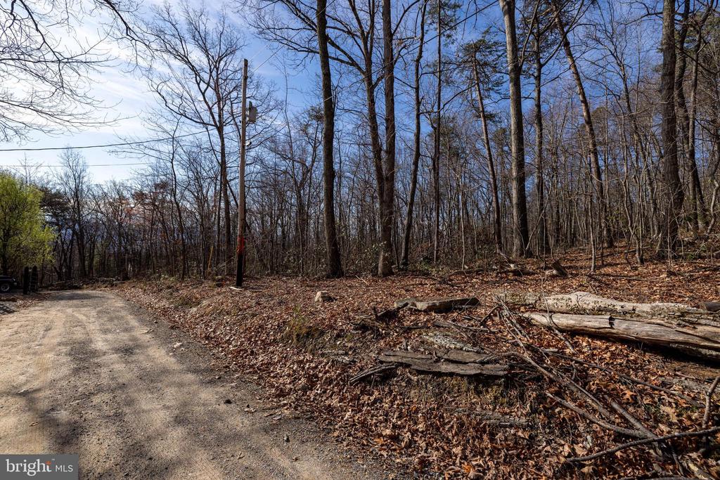 NATIONAL FOREST ACCESS RD, LURAY, Virginia 22835, ,Land,NATIONAL FOREST ACCESS RD,VAPA2006088 MLS # VAPA2006088 NATIONAL FOREST ACCESS RD, LURAY, Virginia 22835, ,Land,NATIONAL FOREST ACCESS RD,VAPA2006088 MLS # VAPA2006088