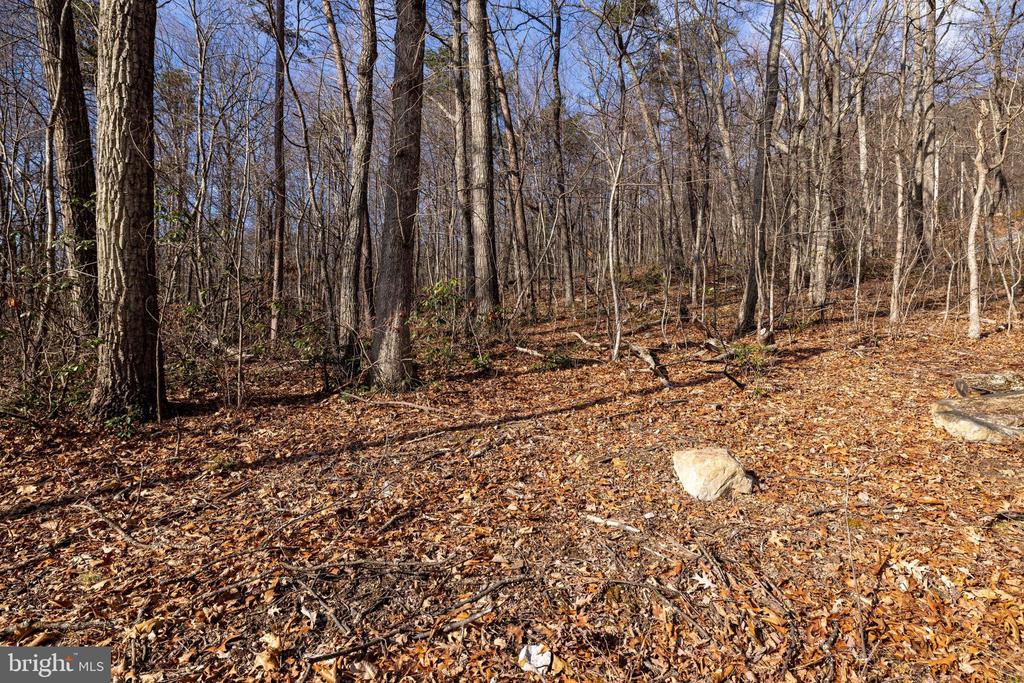 NATIONAL FOREST ACCESS RD, LURAY, Virginia 22835, ,Land,NATIONAL FOREST ACCESS RD,VAPA2006088 MLS # VAPA2006088 NATIONAL FOREST ACCESS RD, LURAY, Virginia 22835, ,Land,NATIONAL FOREST ACCESS RD,VAPA2006088 MLS # VAPA2006088
