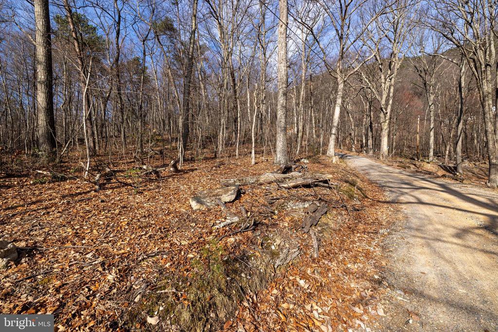 NATIONAL FOREST ACCESS RD, LURAY, Virginia 22835, ,Land,NATIONAL FOREST ACCESS RD,VAPA2006088 MLS # VAPA2006088 NATIONAL FOREST ACCESS RD, LURAY, Virginia 22835, ,Land,NATIONAL FOREST ACCESS RD,VAPA2006088 MLS # VAPA2006088