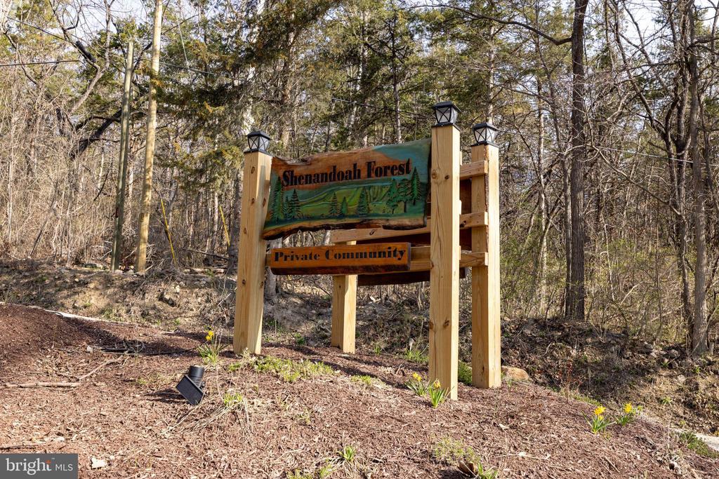 NATIONAL FOREST ACCESS RD, LURAY, Virginia 22835, ,Land,NATIONAL FOREST ACCESS RD,VAPA2006088 MLS # VAPA2006088 NATIONAL FOREST ACCESS RD, LURAY, Virginia 22835, ,Land,NATIONAL FOREST ACCESS RD,VAPA2006088 MLS # VAPA2006088