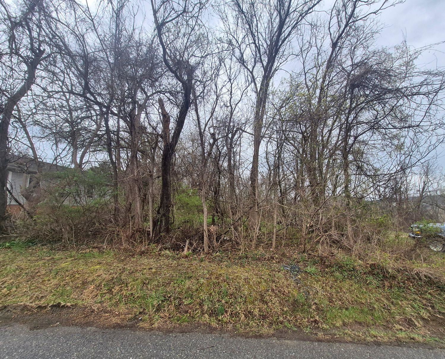 415 JERSEY ST, STAUNTON, Virginia 24401, ,Land,415 JERSEY ST,674491 MLS # 674491