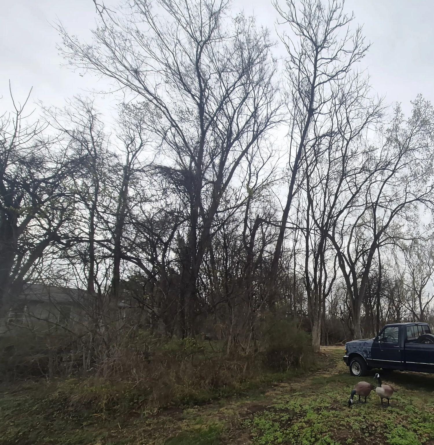 415 JERSEY ST, STAUNTON, Virginia 24401, ,Land,415 JERSEY ST,674491 MLS # 674491