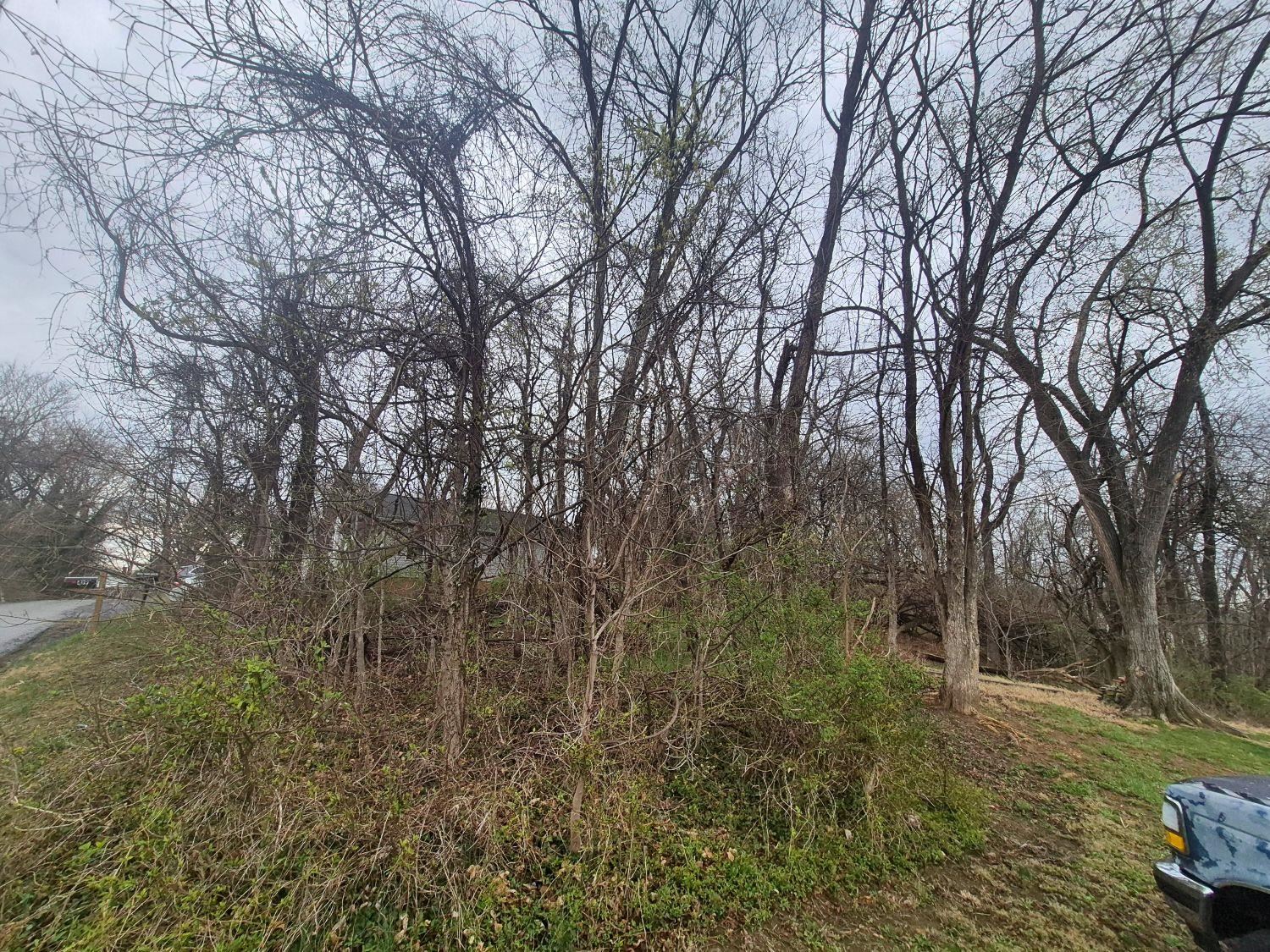 415 JERSEY ST, STAUNTON, Virginia 24401, ,Land,415 JERSEY ST,674491 MLS # 674491