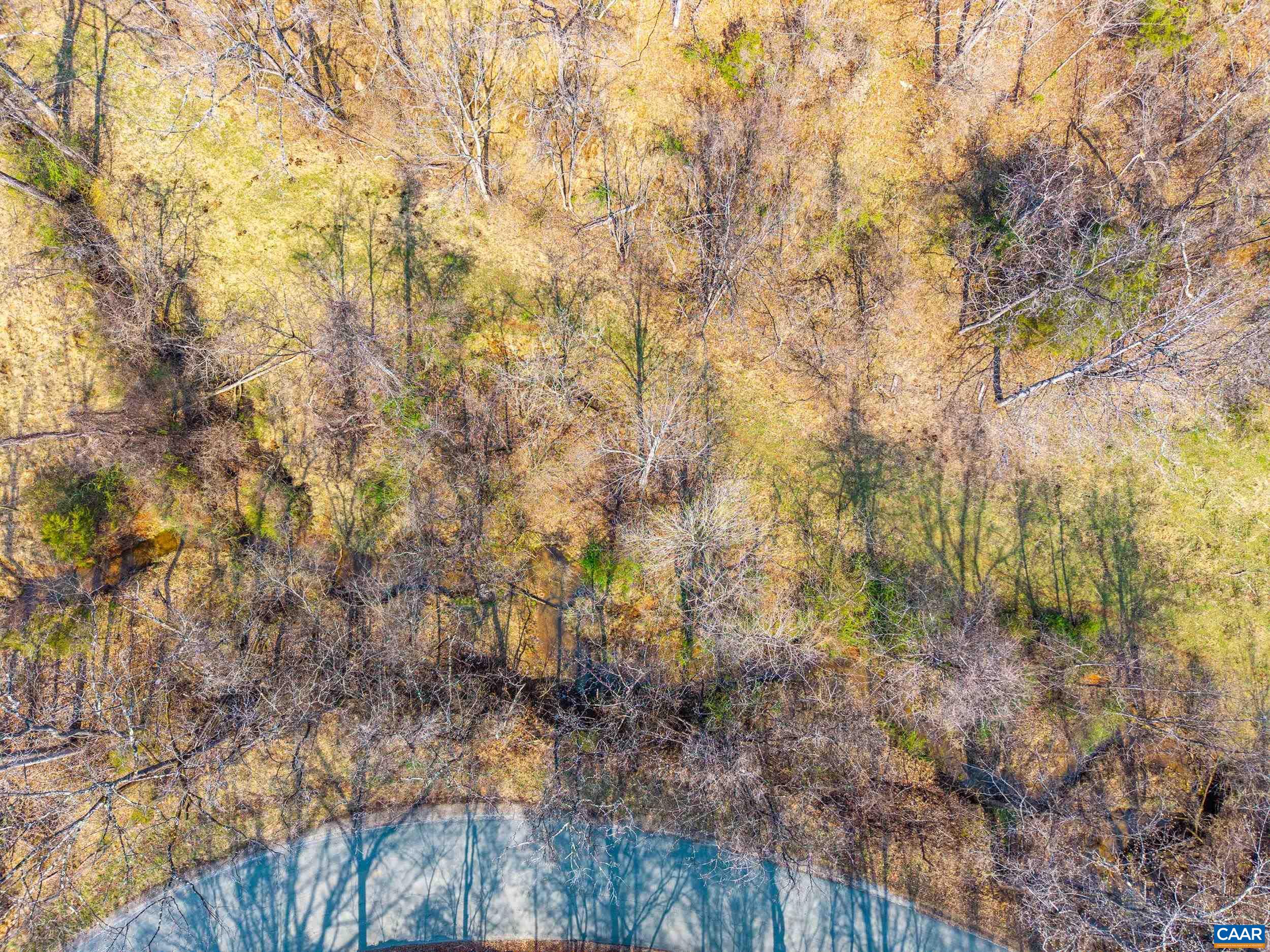 PUPPY CREEK RD, AMHERST, Virginia 24521, ,Land,PUPPY CREEK RD,674494 MLS # 674494