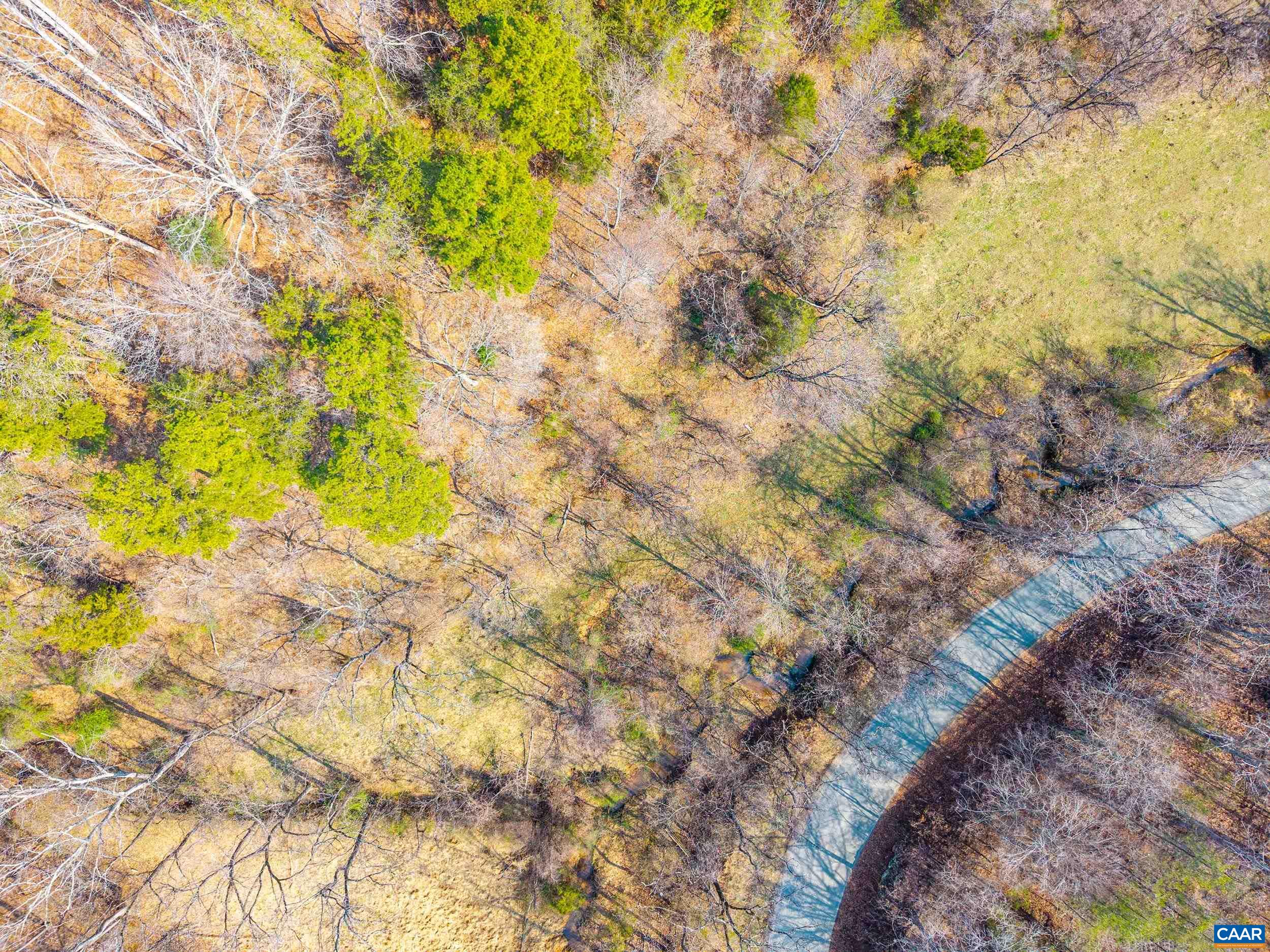 PUPPY CREEK RD, AMHERST, Virginia 24521, ,Land,PUPPY CREEK RD,674494 MLS # 674494