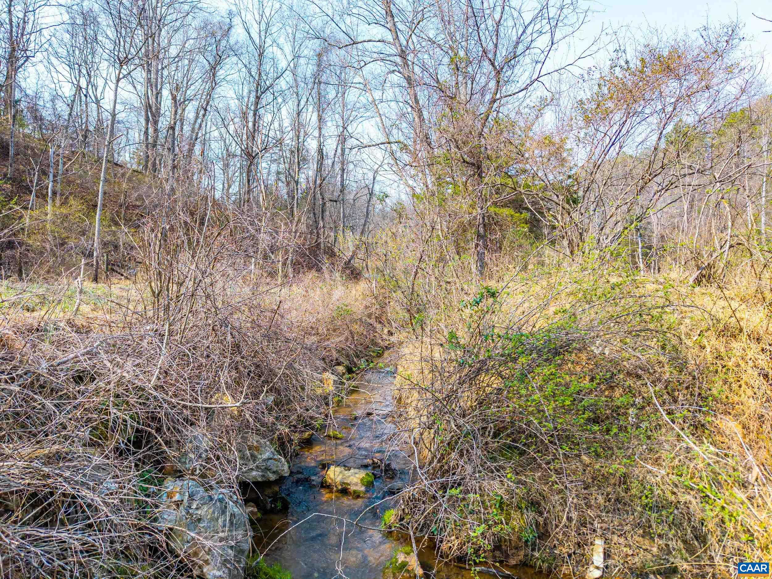 PUPPY CREEK RD, AMHERST, Virginia 24521, ,Land,PUPPY CREEK RD,674494 MLS # 674494