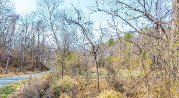 PUPPY CREEK RD, AMHERST, Virginia 24521, ,Land,PUPPY CREEK RD,674494 MLS # 674494