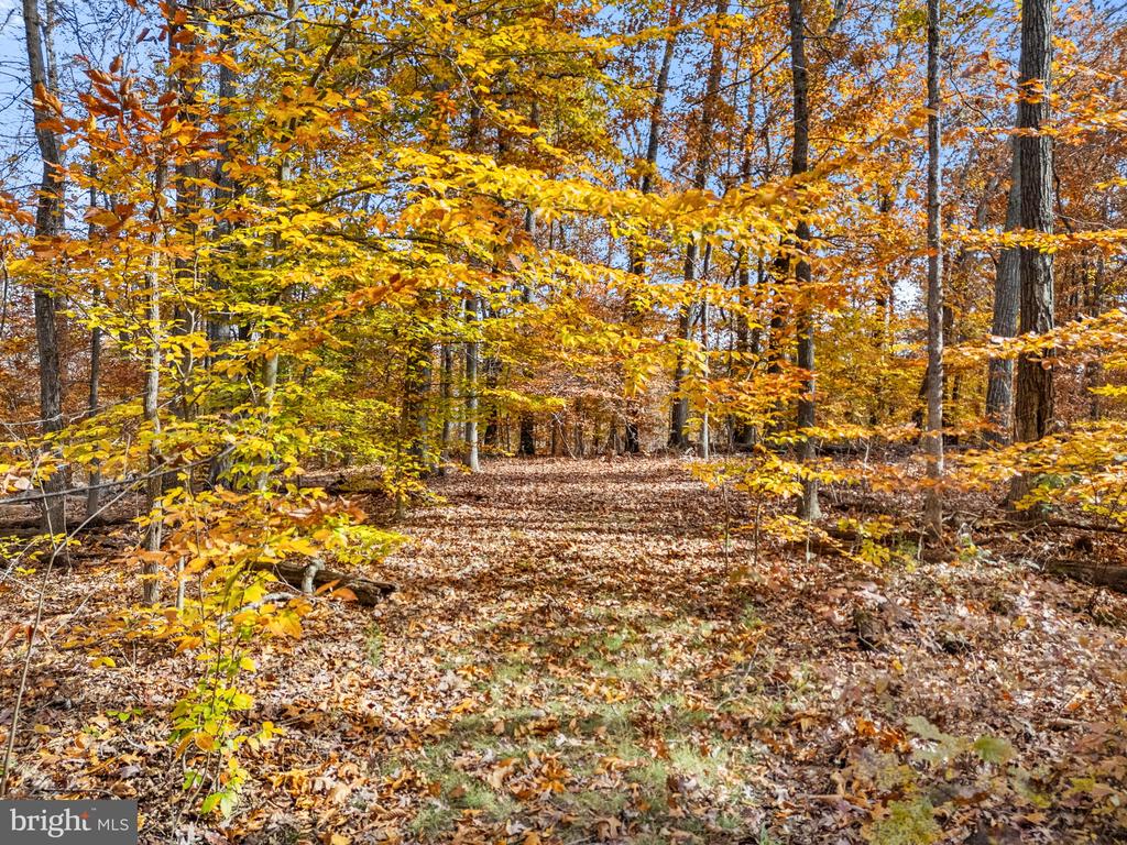 8485 ROGUES RD, WARRENTON, Virginia, 4 Bedrooms Bedrooms, ,4 BathroomsBathrooms,Residential,8485 ROGUES RD,VAFQ2019624 MLS # VAFQ2019624 8485 ROGUES RD, WARRENTON, Virginia, 4 Bedrooms Bedrooms, ,4 BathroomsBathrooms,Residential,8485 ROGUES RD,VAFQ2019624 MLS # VAFQ2019624