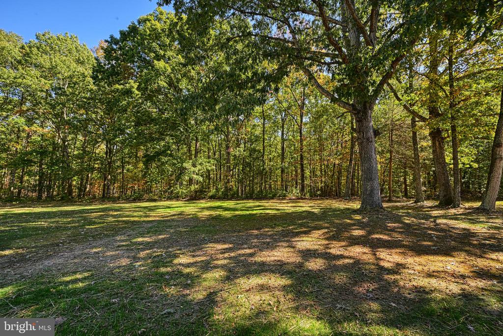 3040 ZACHARY TAYLOR HWY, MINERAL, Virginia 23117, 3 Bedrooms Bedrooms, ,1 BathroomBathrooms,Residential,3040 ZACHARY TAYLOR HWY,VALA2009474 MLS # VALA2009474